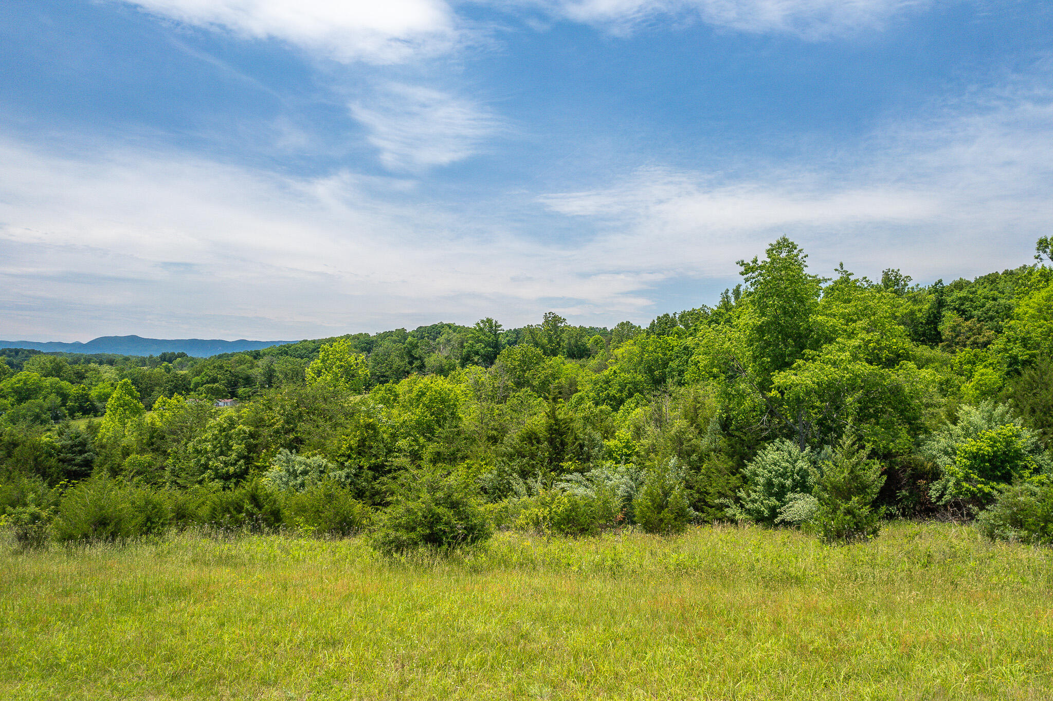 Lot 21 Meadow Grove Dr, Lexington, Virginia image 12