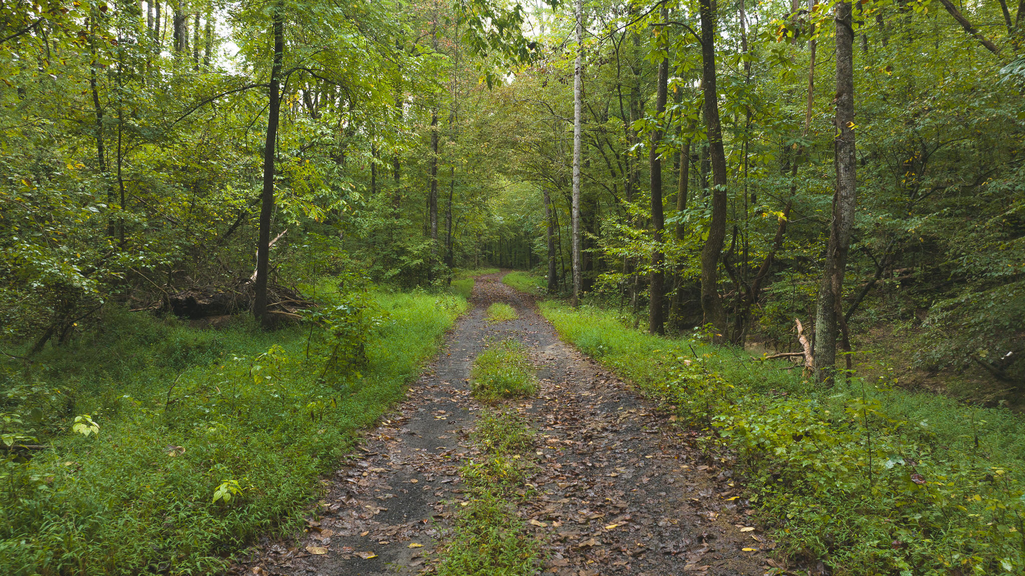 Lot 1 Martin Rd, Danville, Virginia image 7