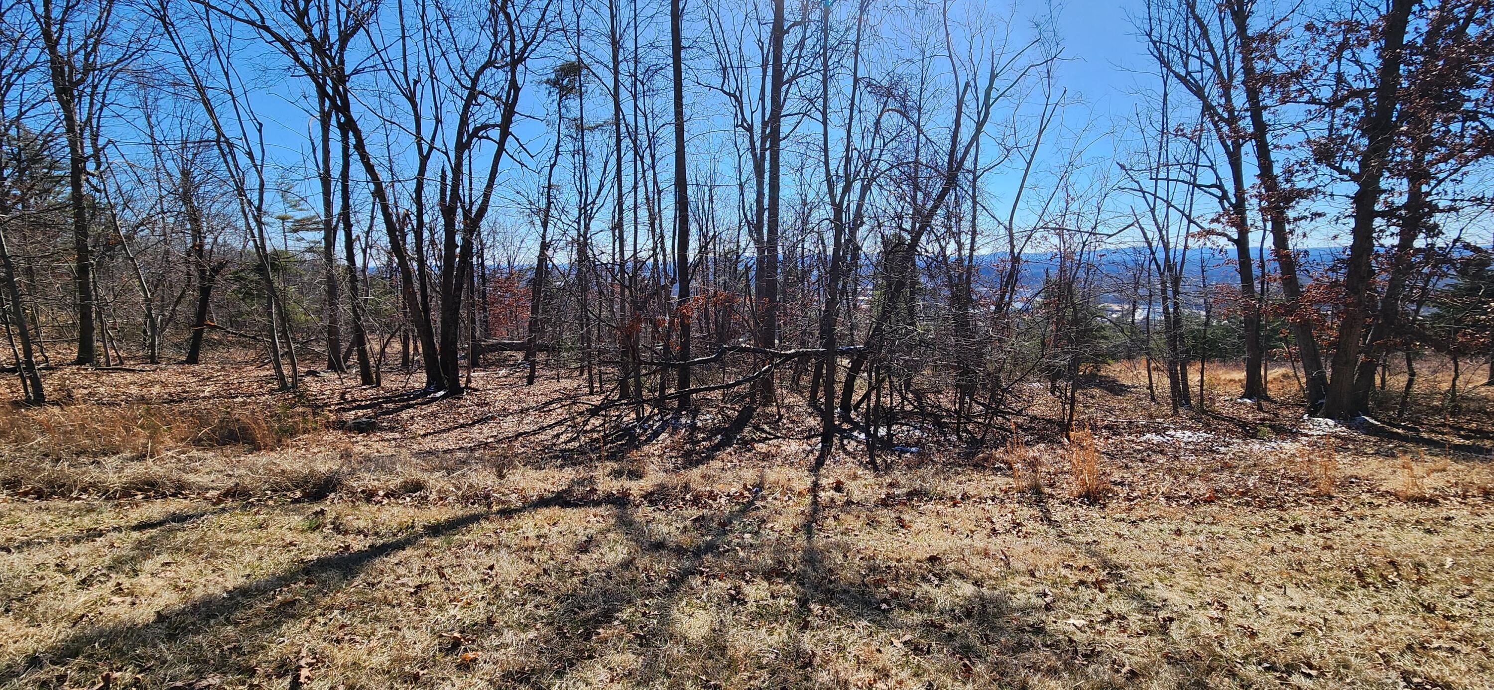 Lot 47 Summit Dr, Rocky Mount, Ohio image 1
