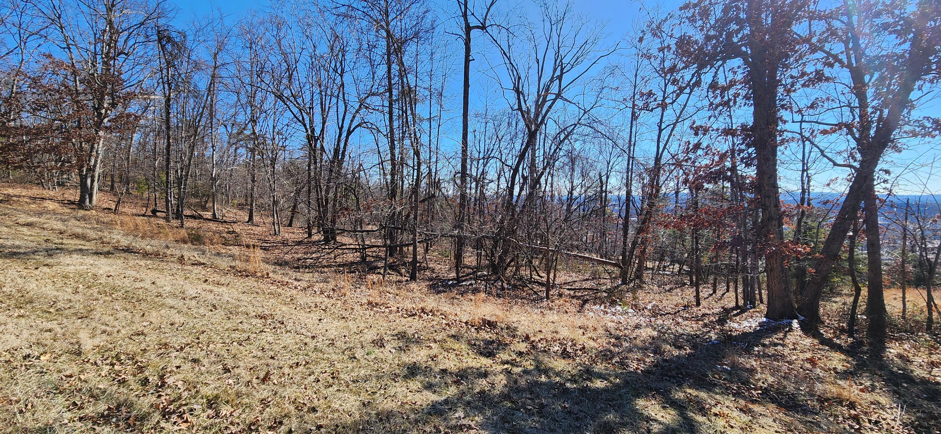 Lot 47 Summit Dr, Rocky Mount, Ohio image 2