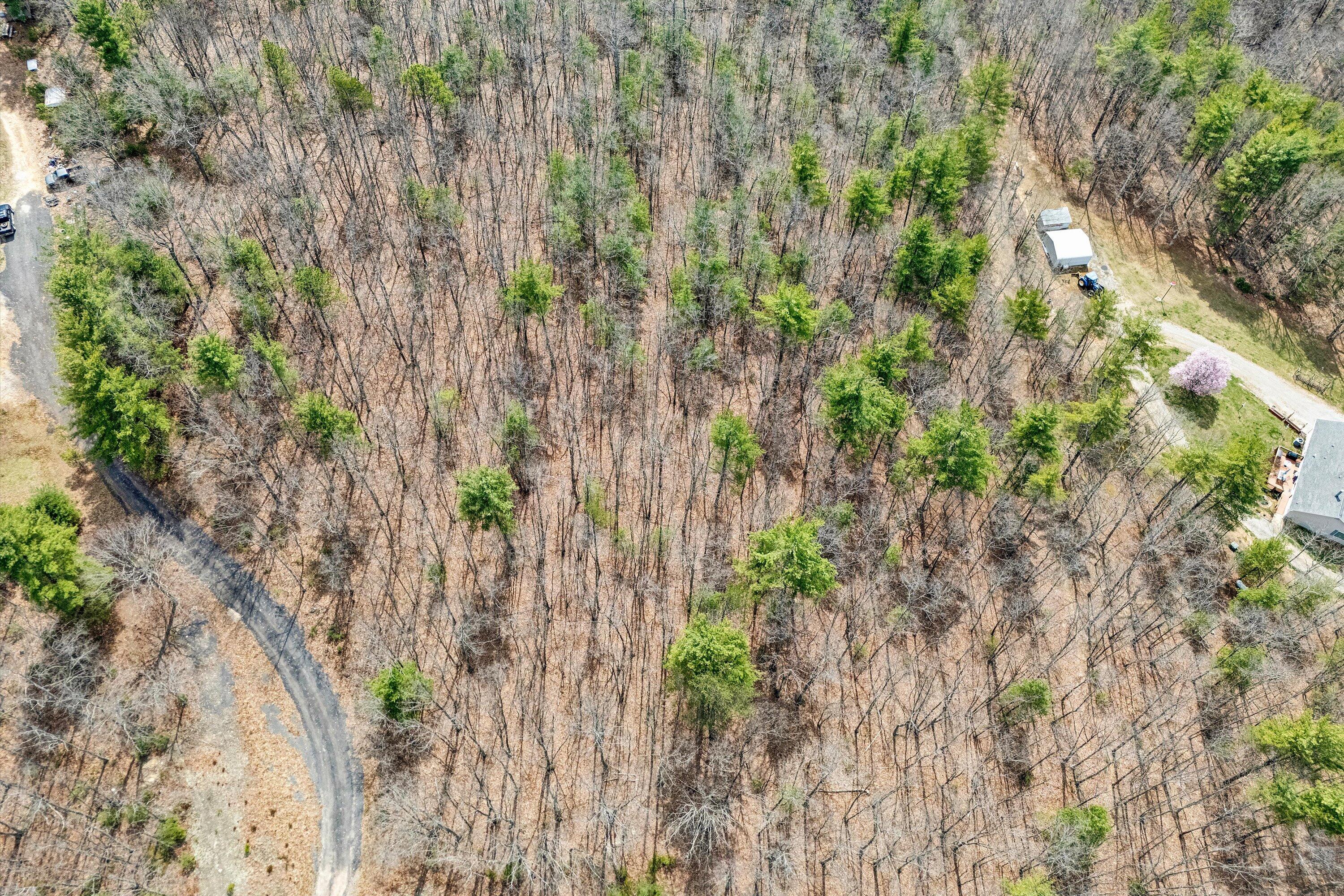 Mountain Acres Cir, New Castle, Virginia image 5