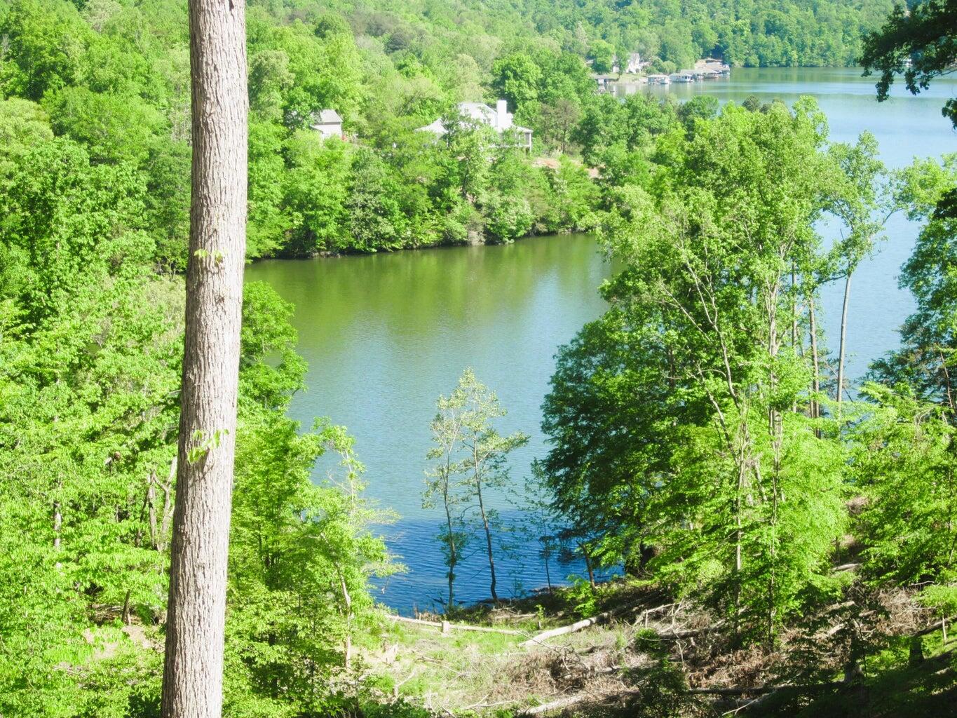 LOT 70 Washburn Ct, Hardy, Virginia image 1