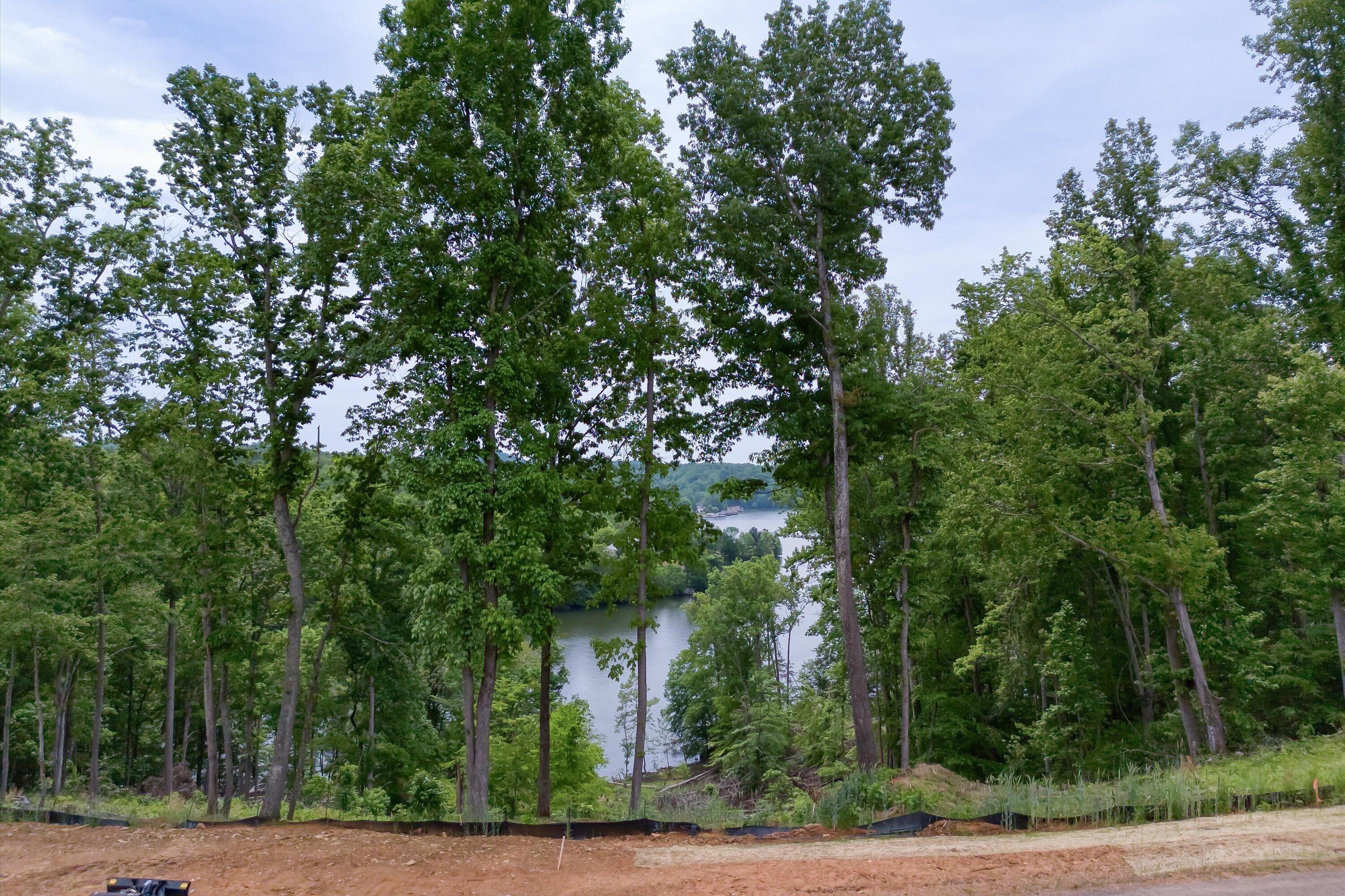 LOT 70 Washburn Ct, Hardy, Virginia image 3