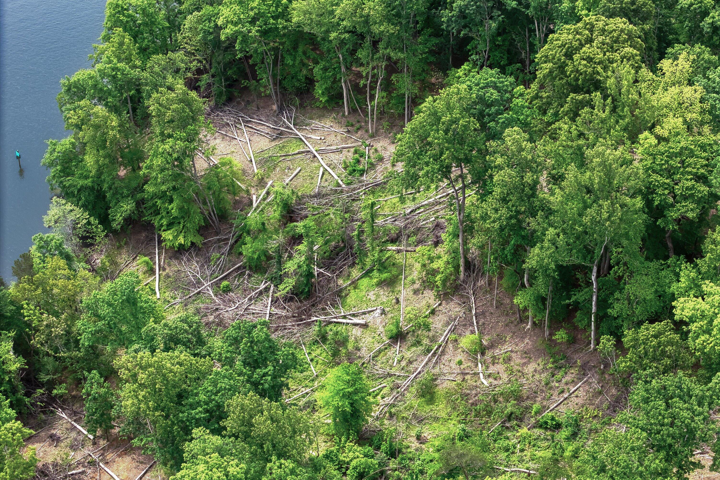 LOT 70 Washburn Ct, Hardy, Virginia image 14