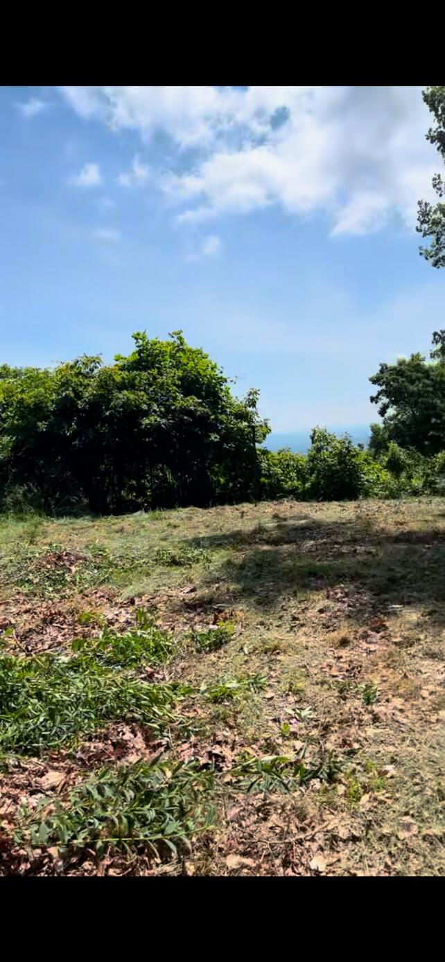 4061 Taylor Mountain Rd, Thaxton, Virginia image 7