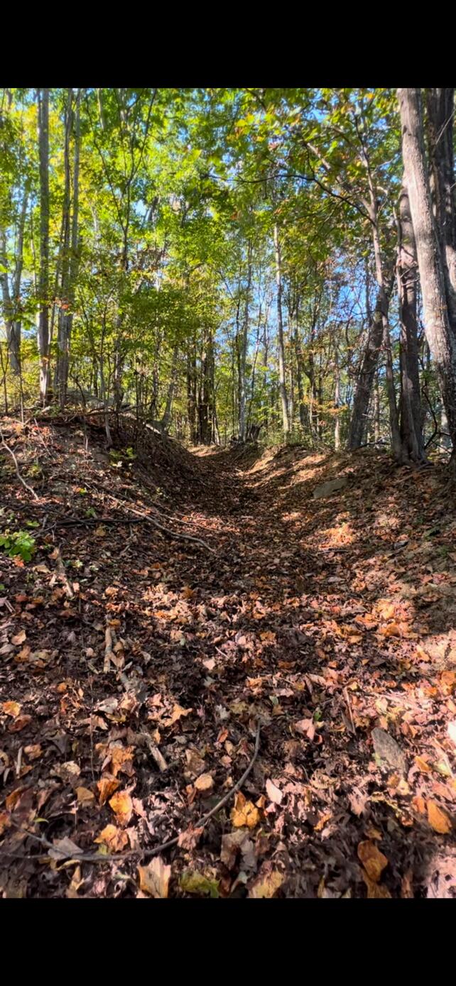 4061 Taylor Mountain Rd, Thaxton, Virginia image 4