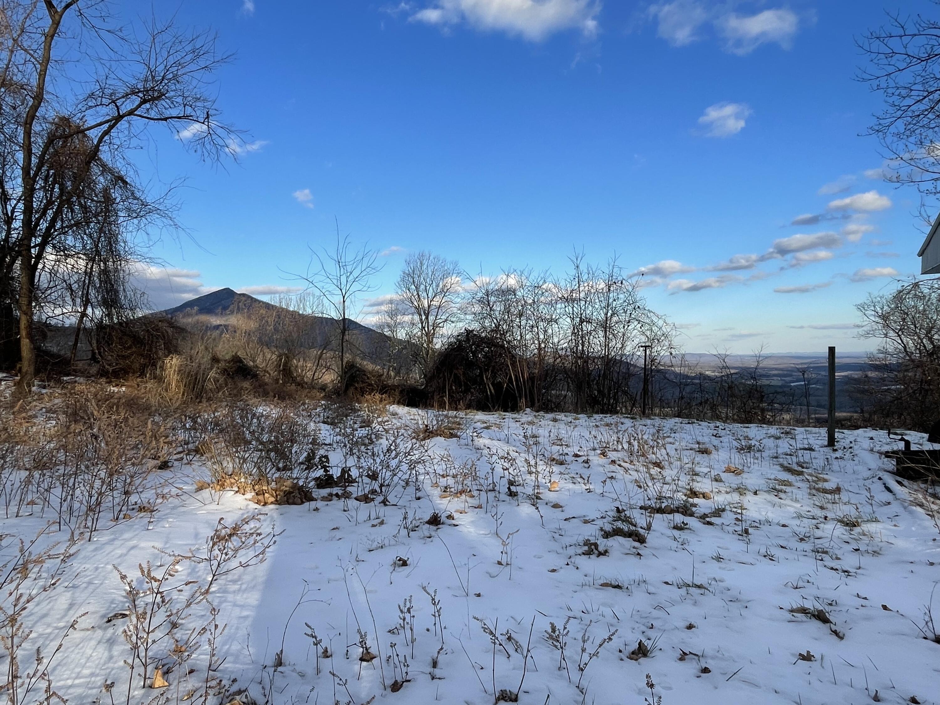 4061 Taylor Mountain Rd, Thaxton, Virginia image 3
