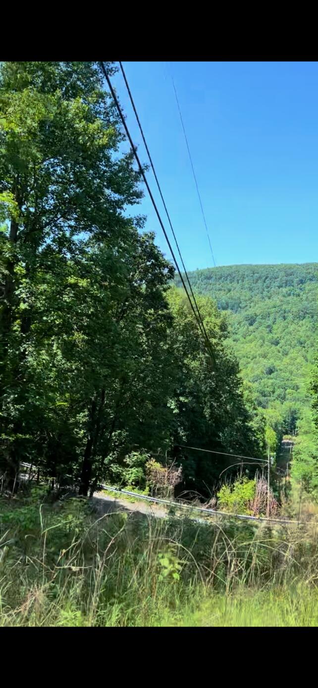 4061 Taylor Mountain Rd, Thaxton, Virginia image 6