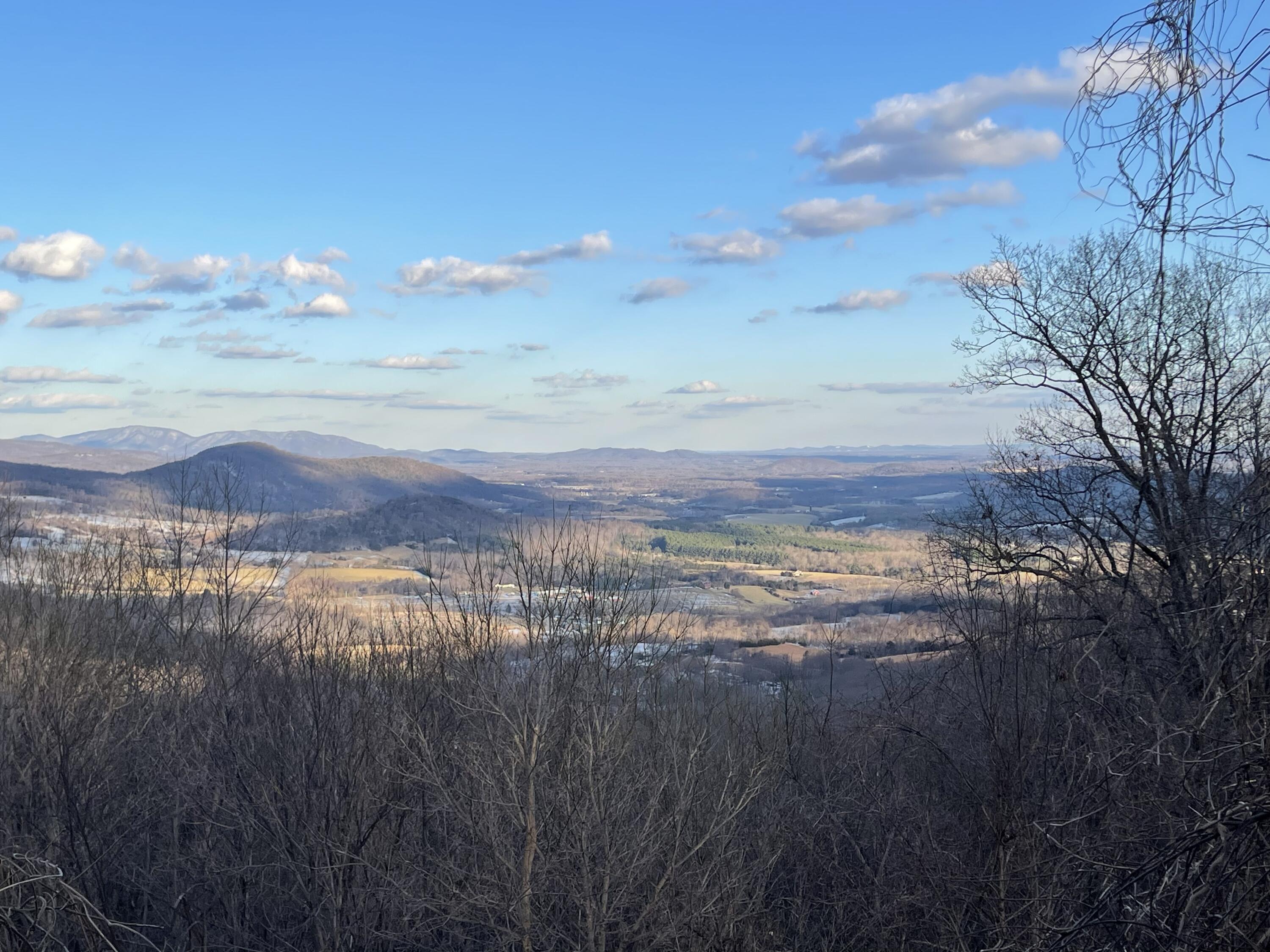 4061 Taylor Mountain Rd, Thaxton, Virginia image 17