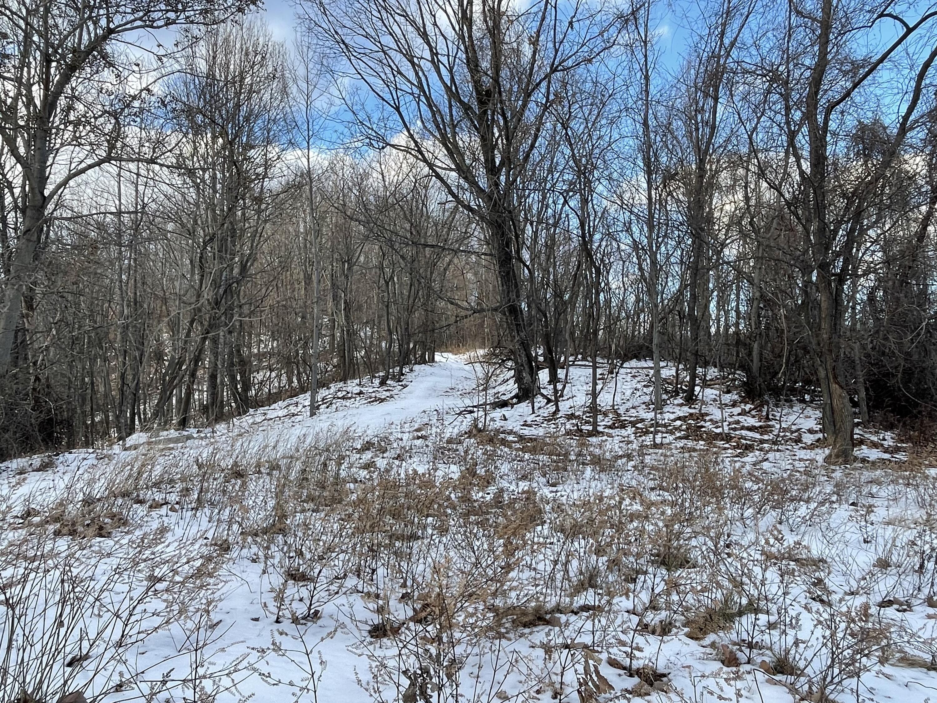 4061 Taylor Mountain Rd, Thaxton, Virginia image 16