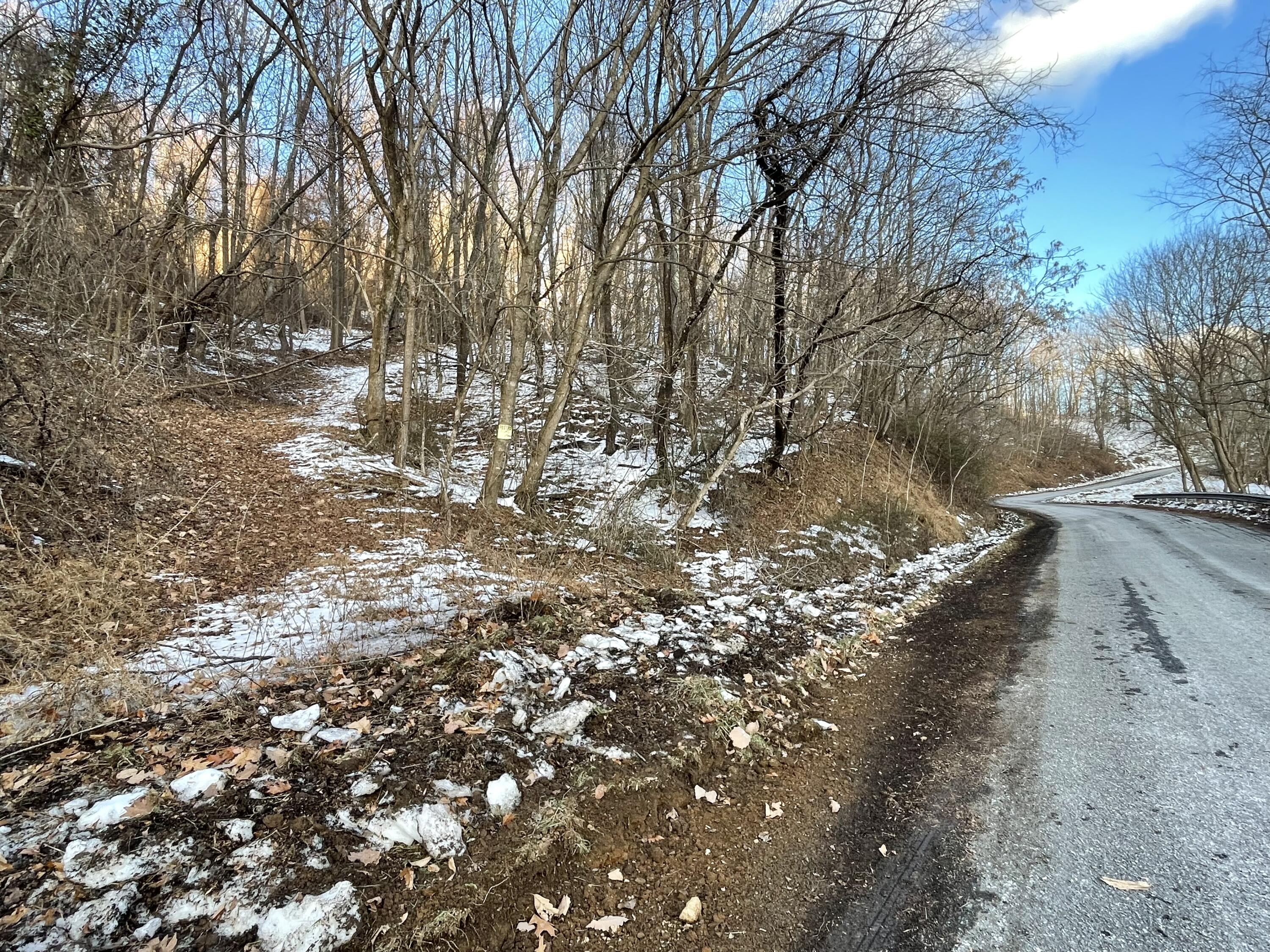 4061 Taylor Mountain Rd, Thaxton, Virginia image 19
