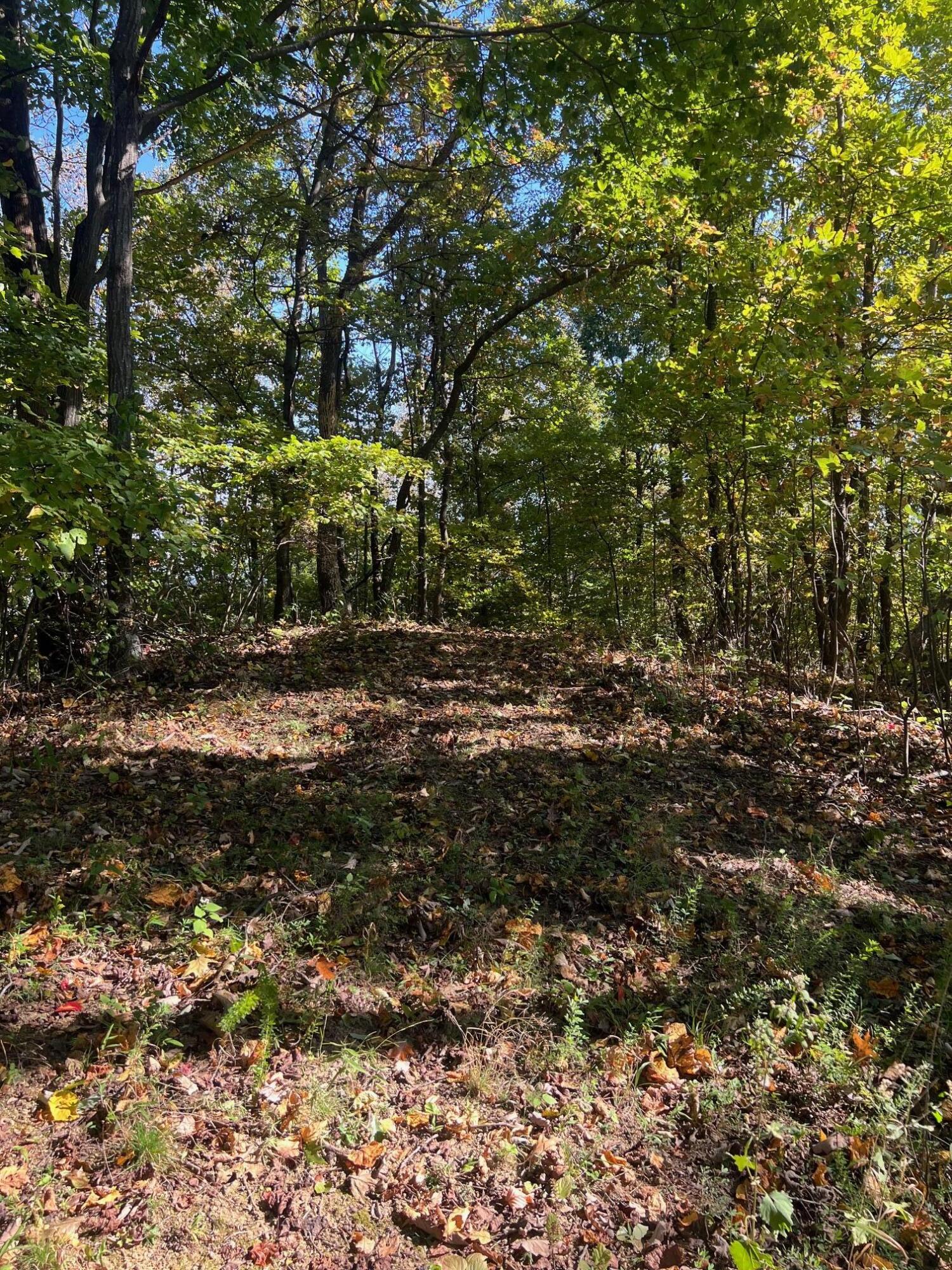 4061 Taylor Mountain Rd, Thaxton, Virginia image 8