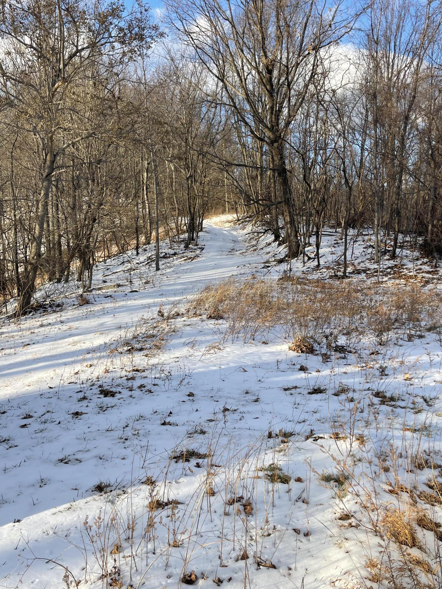 4061 Taylor Mountain Rd, Thaxton, Virginia image 15