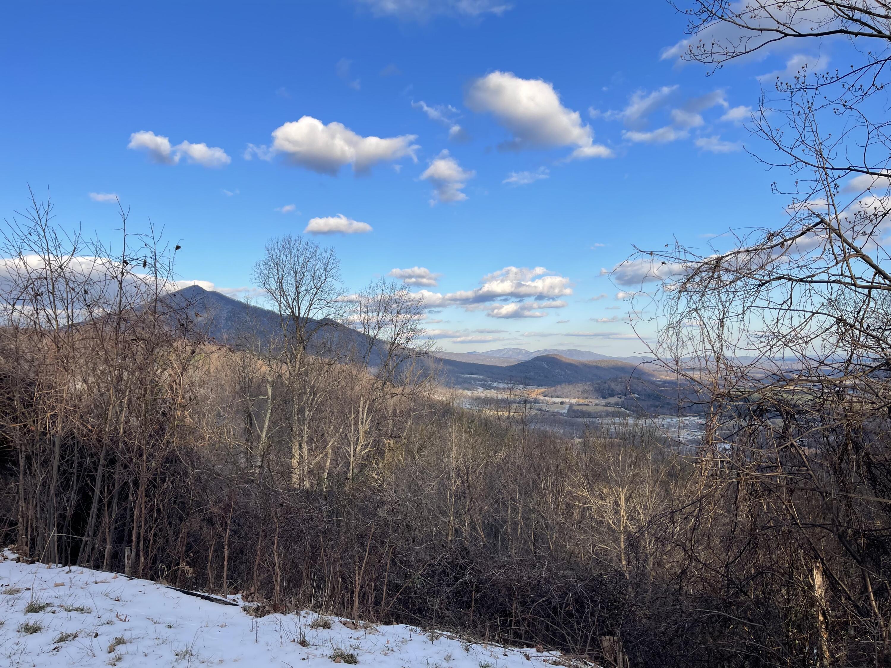 4061 Taylor Mountain Rd, Thaxton, Virginia image 2