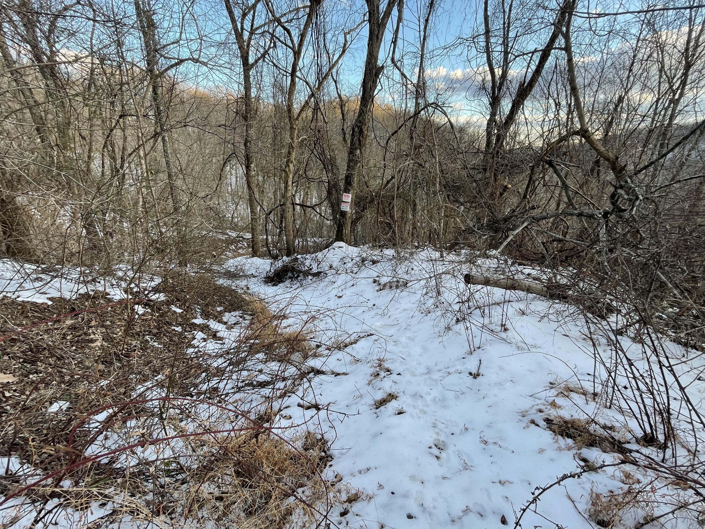 4061 Taylor Mountain Rd, Thaxton, Virginia image 18