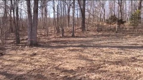 Vacant Land For Sale - Little Catawba Creek Rd<br/> Troutville, VA 24175