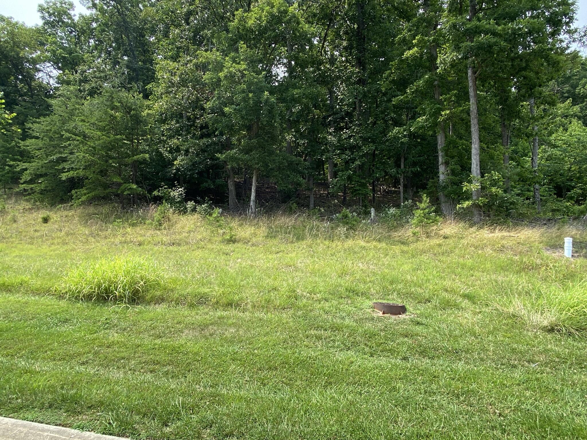 LOT 11 Summit Dr, Rocky Mount, Virginia image 1