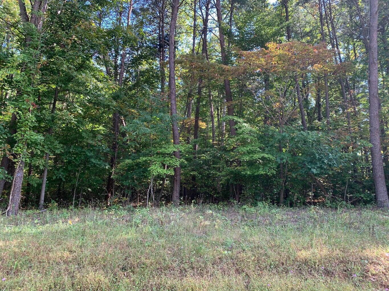 Lot 11 Meador Dr, Moneta, Virginia image 1