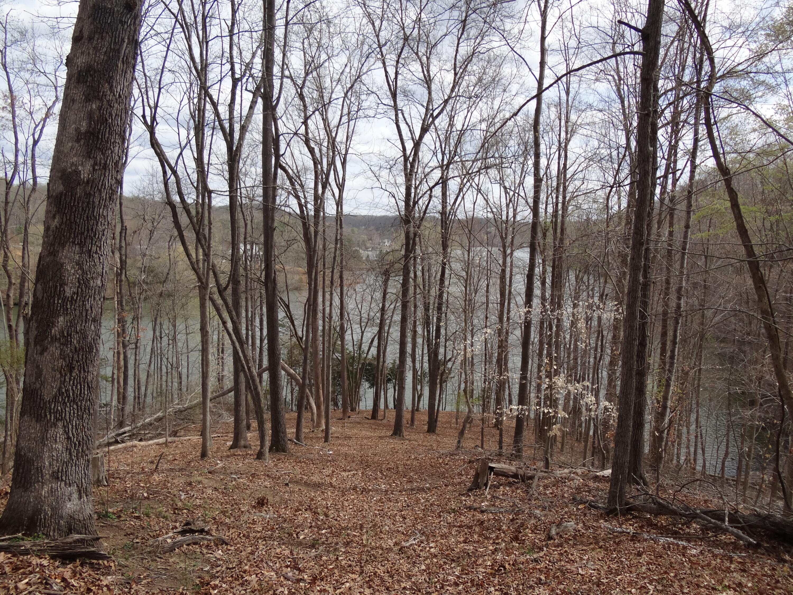 LOT 72 Washburn Ct, Hardy, Virginia image 7
