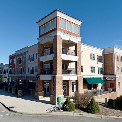 Condo For Sale - 1100 Celebration Ave #406<br/> Greene County, Moneta, VA 24121