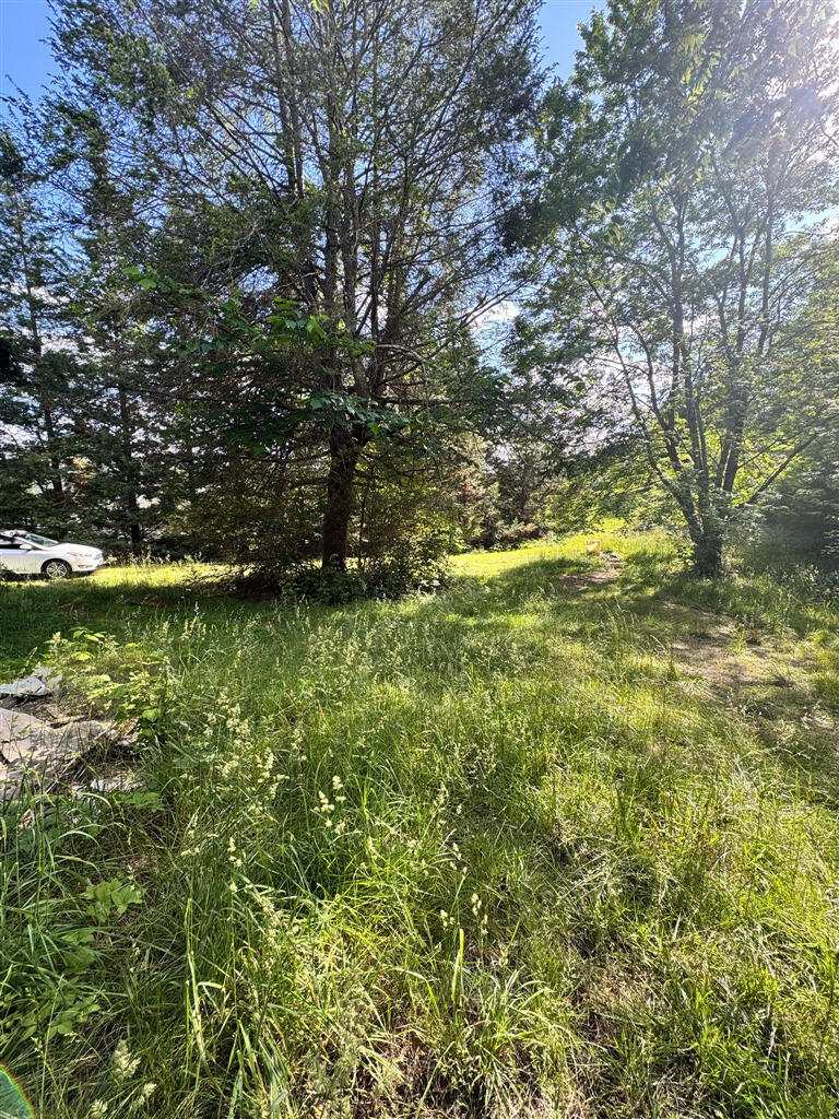12937 N North Old Moneta Rd, Moneta, Virginia image 20