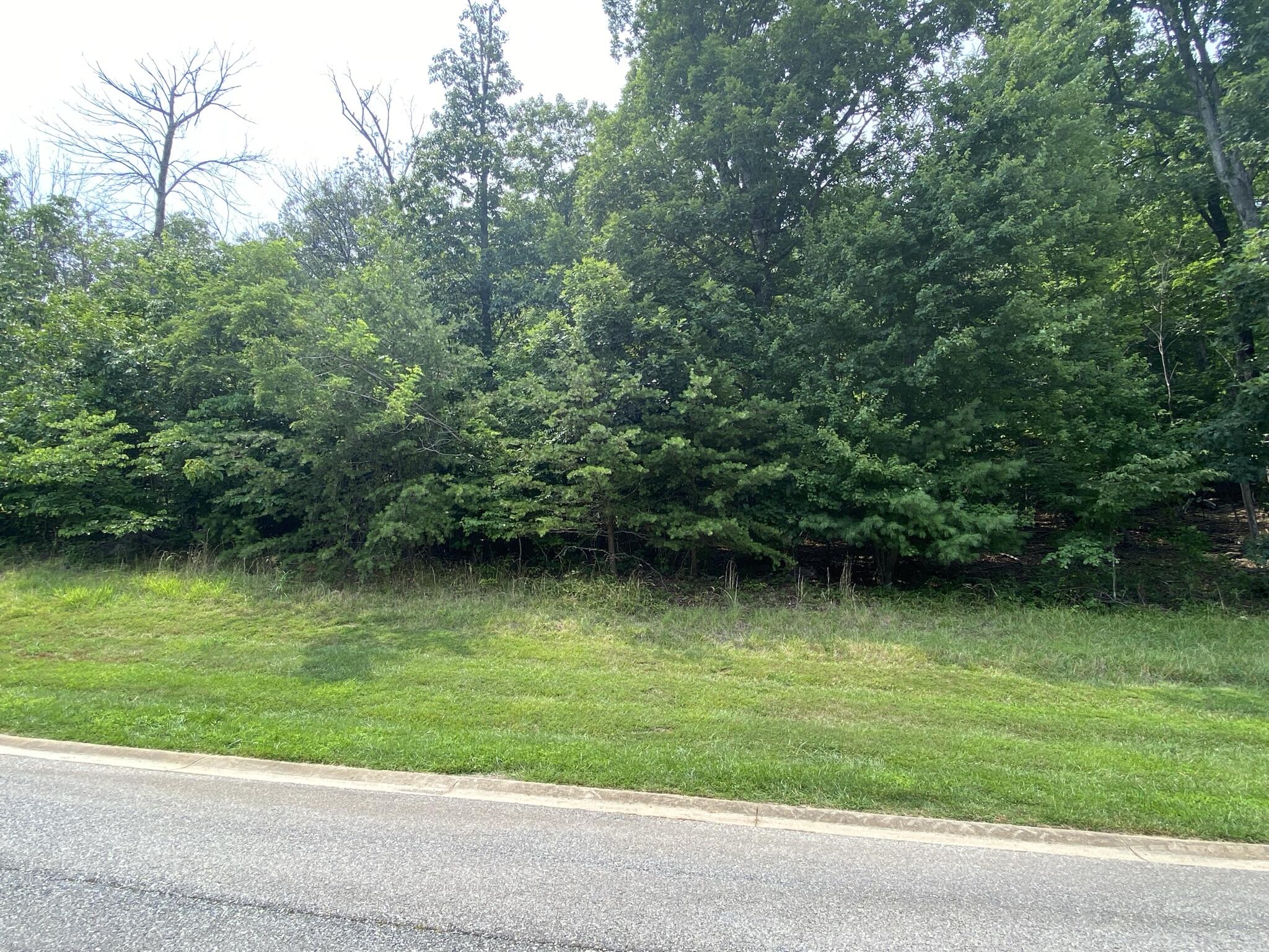 Lot 20 Summit Dr, Rocky Mount, Virginia image 1