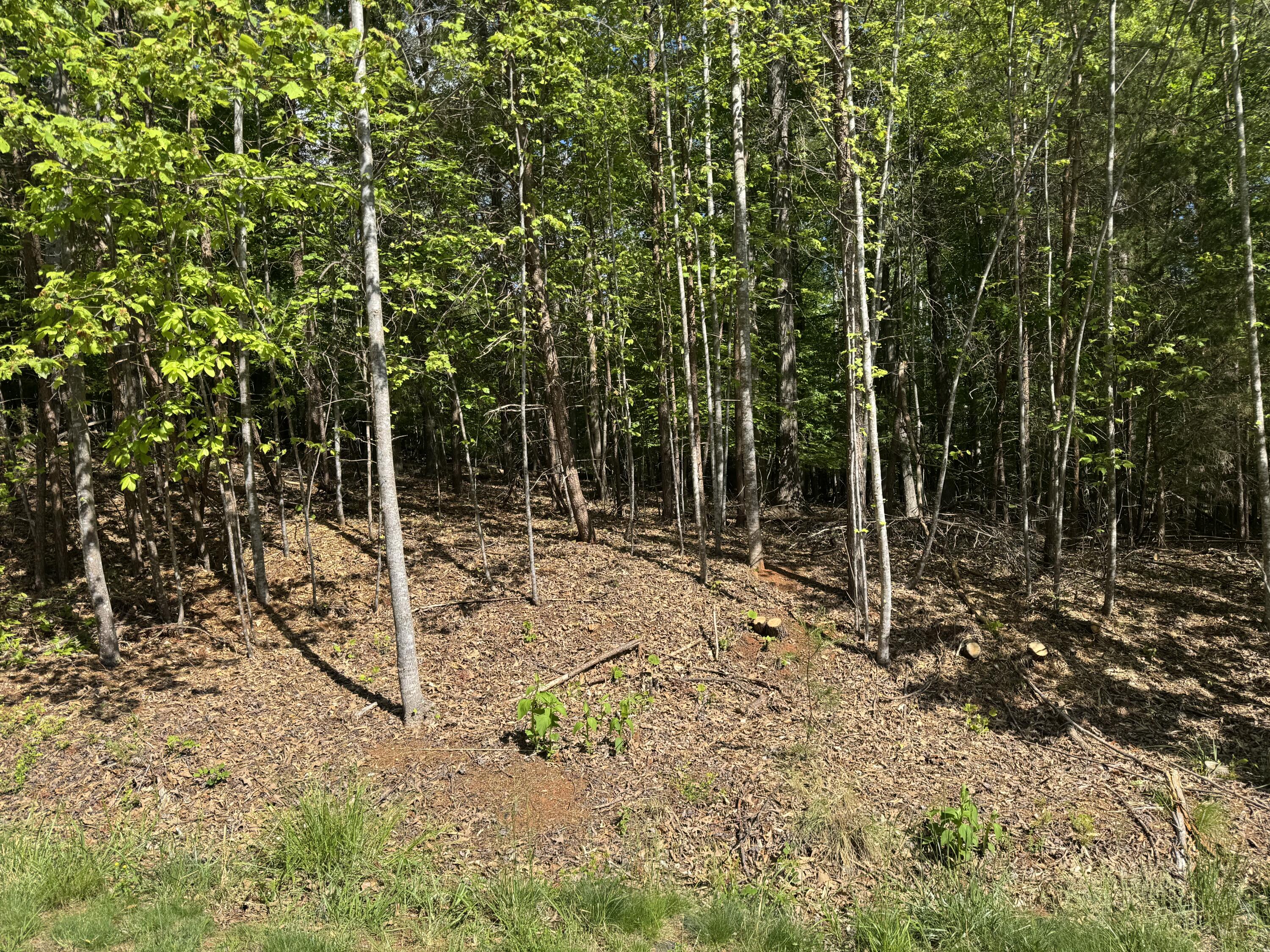 Lot 40 Lakeside Ln, Glade Hill, Virginia image 2