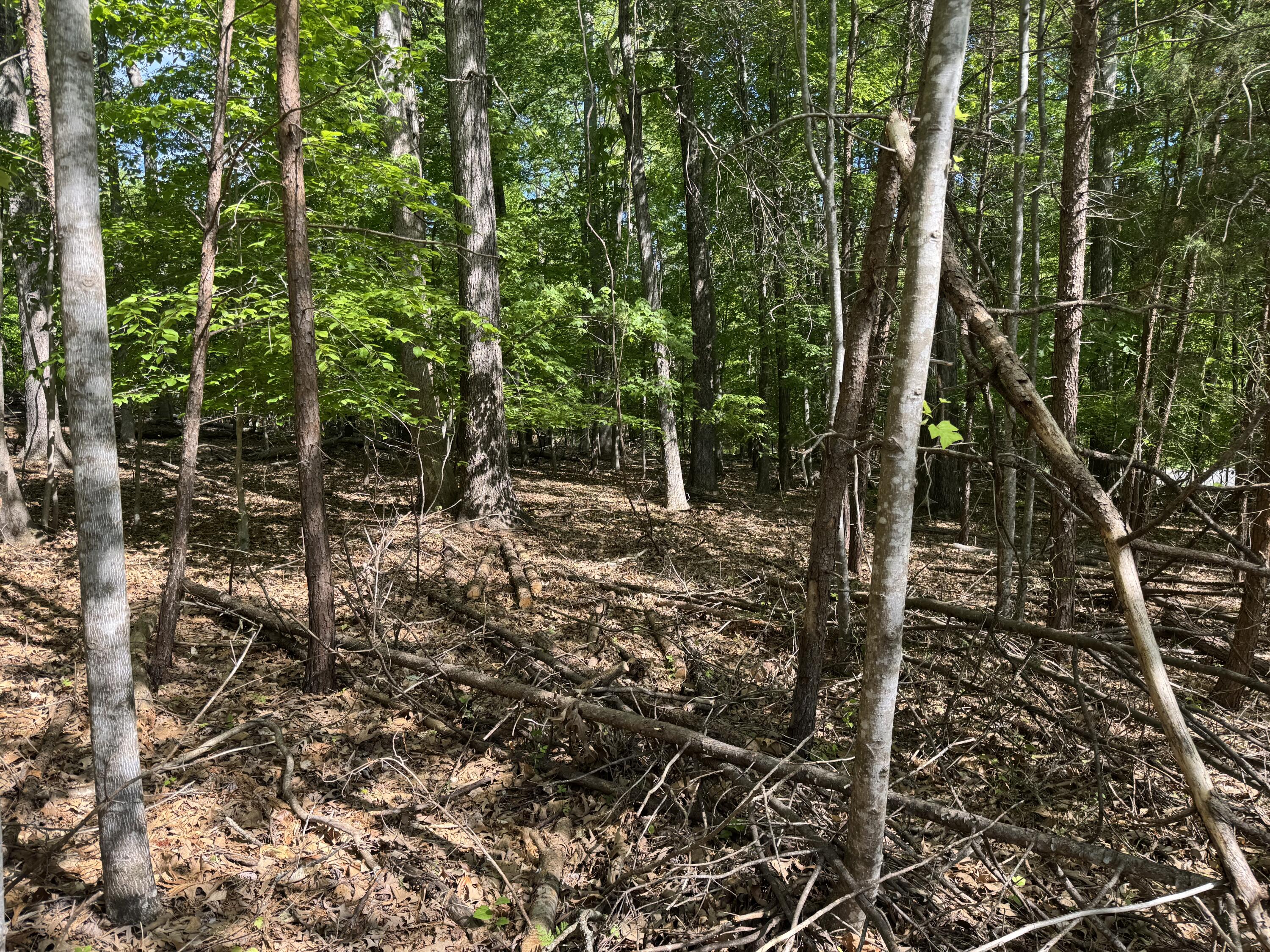 Lot 40 Lakeside Ln, Glade Hill, Virginia image 3