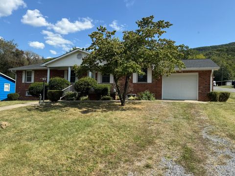 Homes For Sale - 1019 Staunton St<br/> Alleghany County, Selma, VA 24474