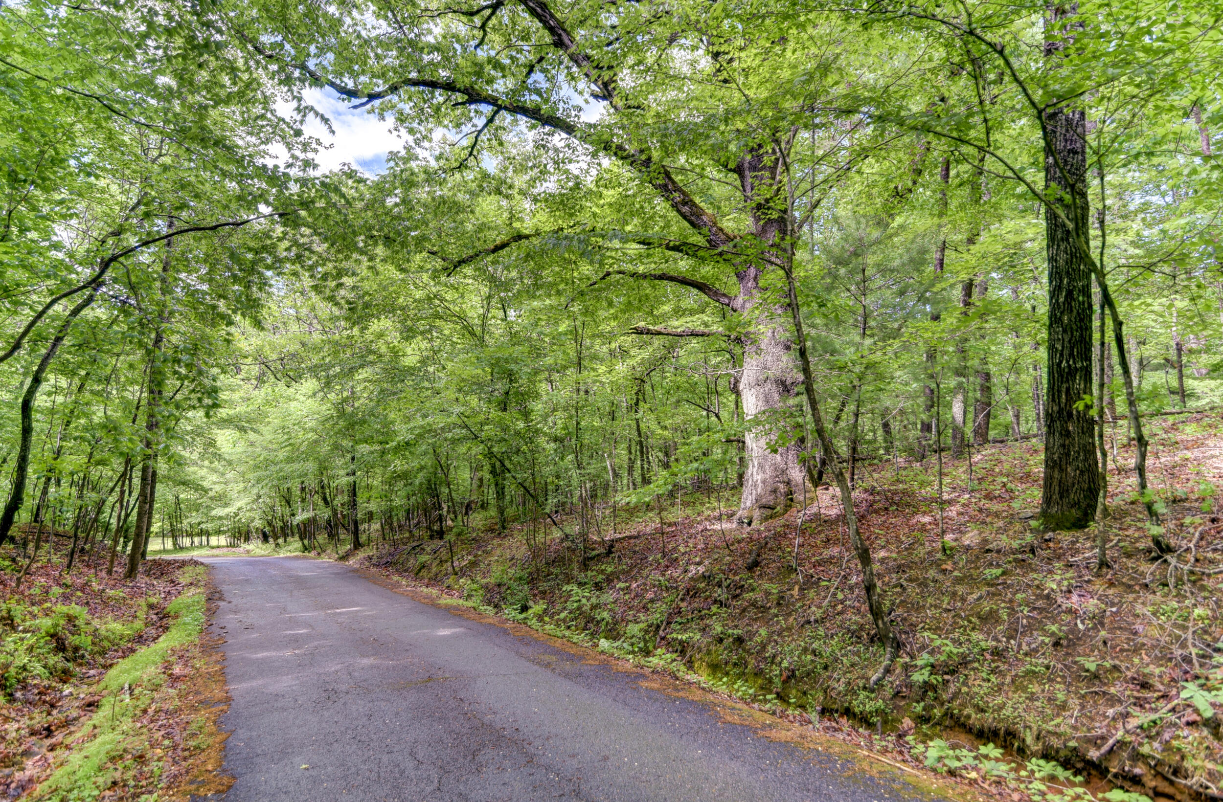 Bedford Lake Dr, Bedford, Virginia image 7