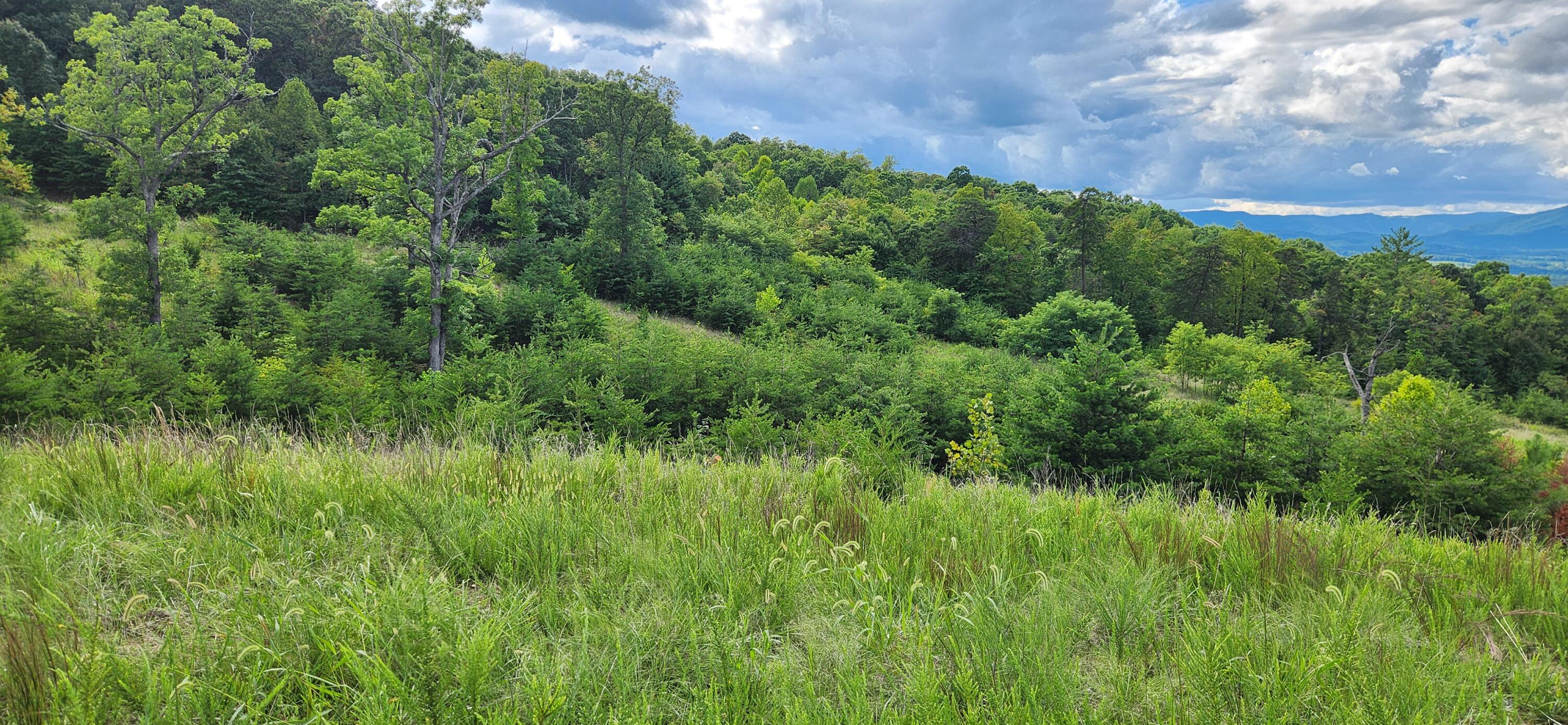 Lot 69 Penny Ln, Rocky Mount, Virginia image 1