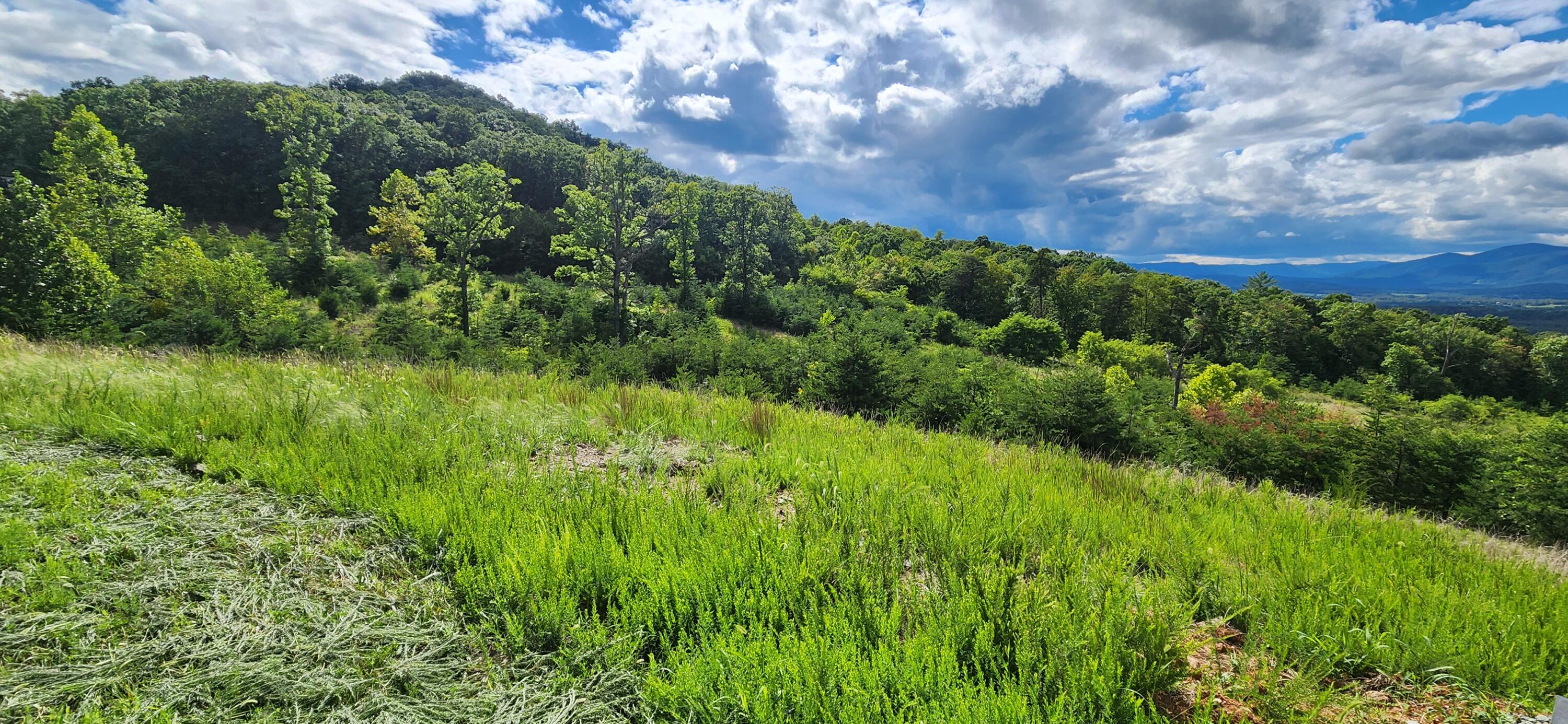 Lot 69 Penny Ln, Rocky Mount, Virginia image 4
