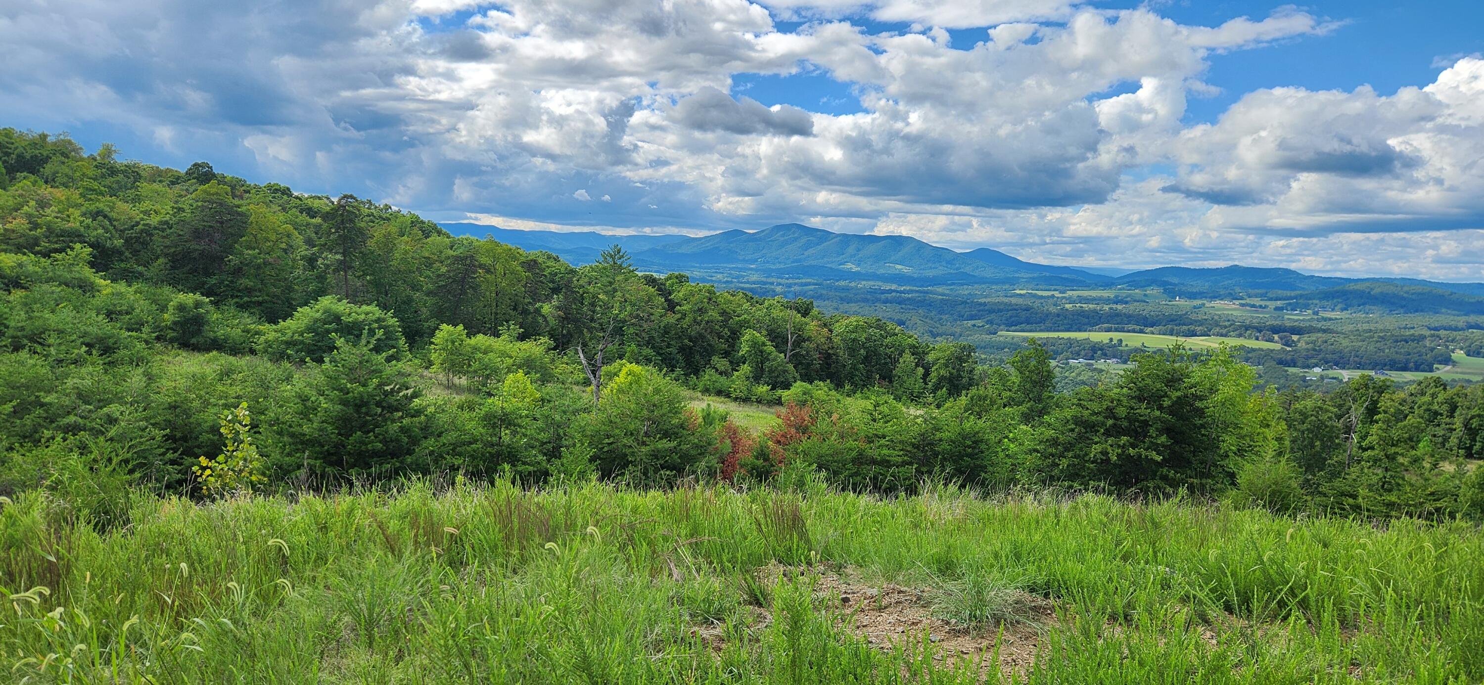 Lot 69 Penny Ln, Rocky Mount, Virginia image 2