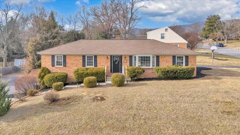 Homes For Sale - 971 Stonegate Dr<br/> Salem, VA 24153