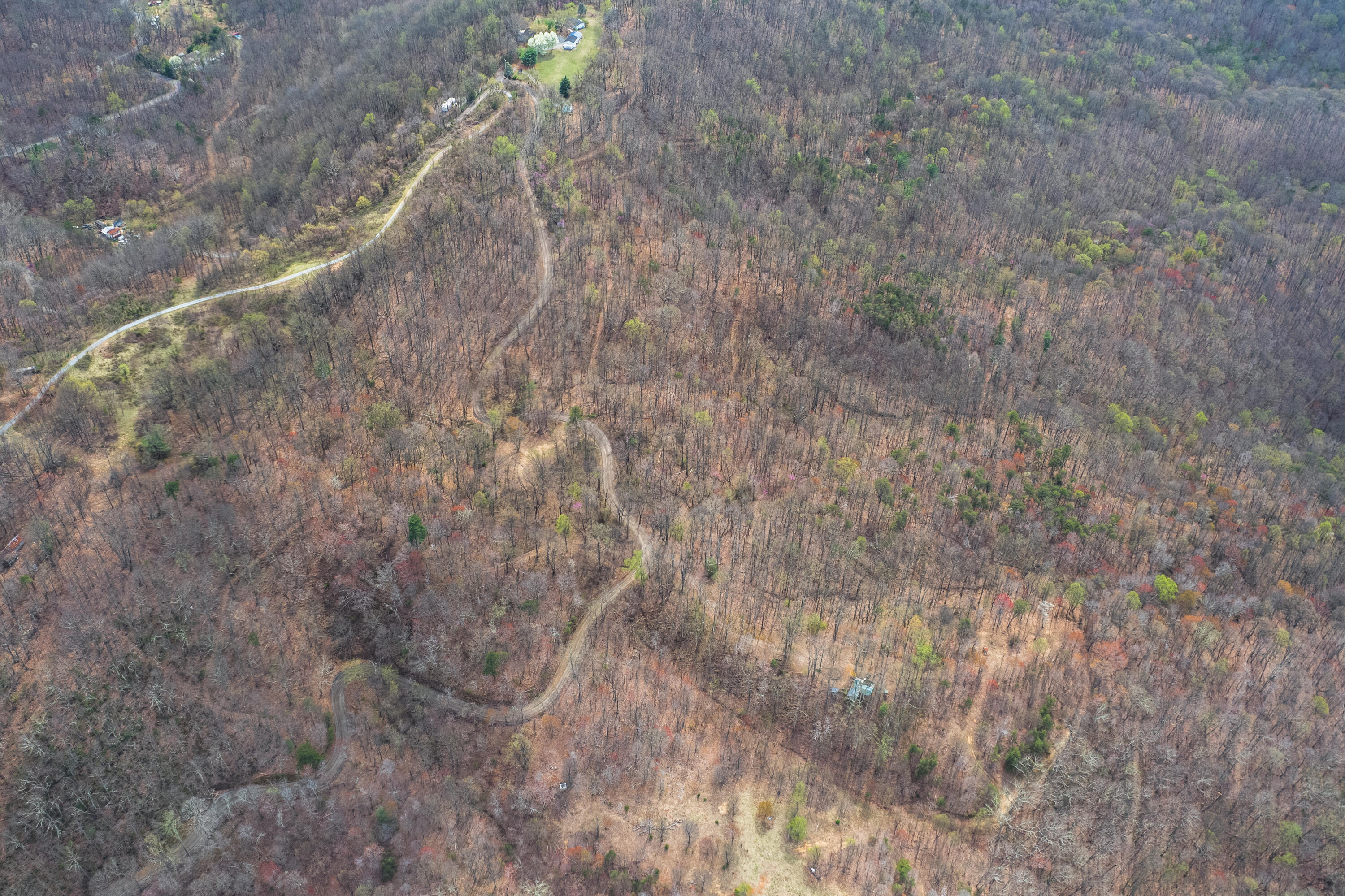 Lot 2 Murray Hollow Rd, Thaxton, Virginia image 16