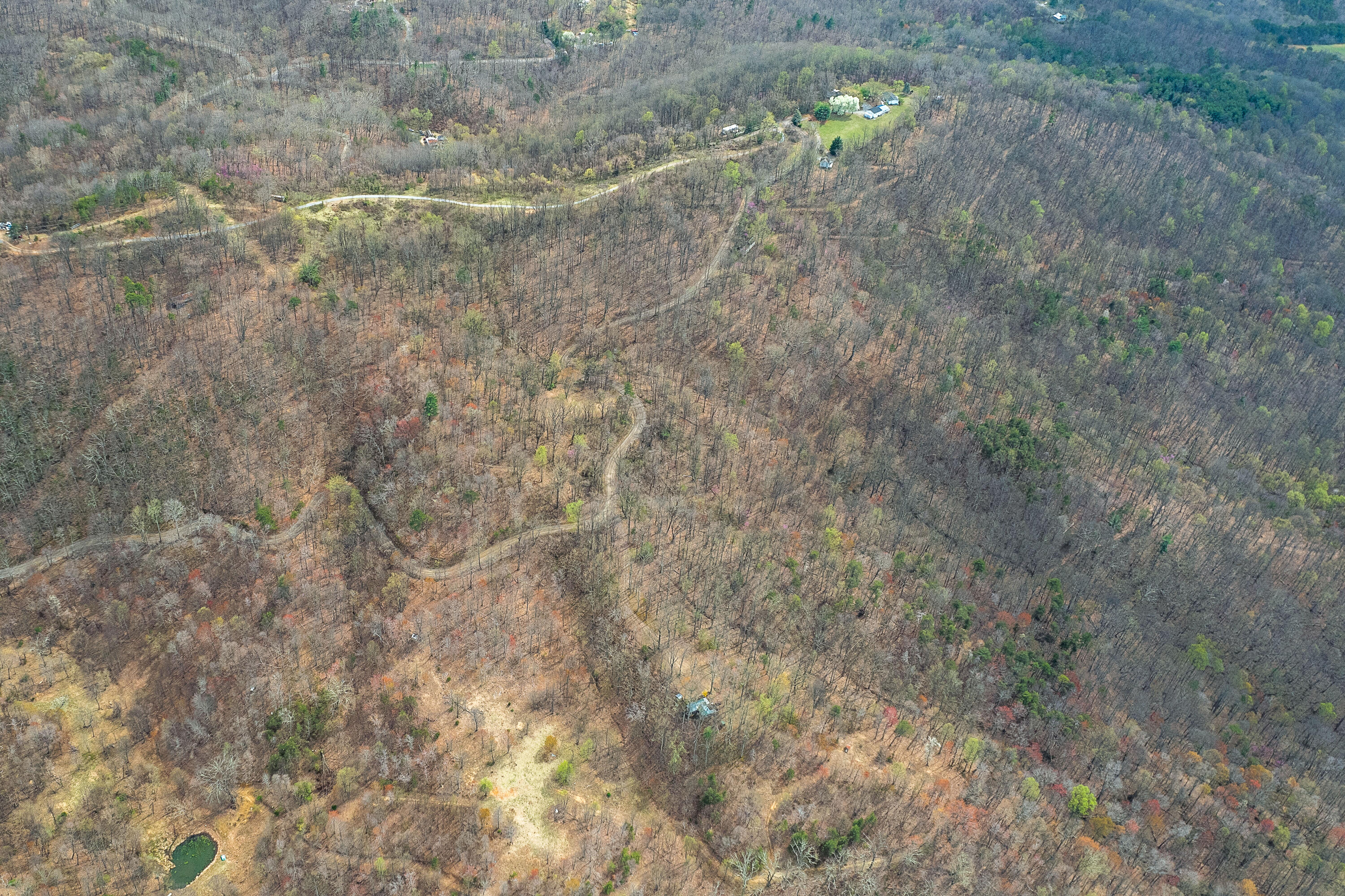 Lot 2 Murray Hollow Rd, Thaxton, Virginia image 14