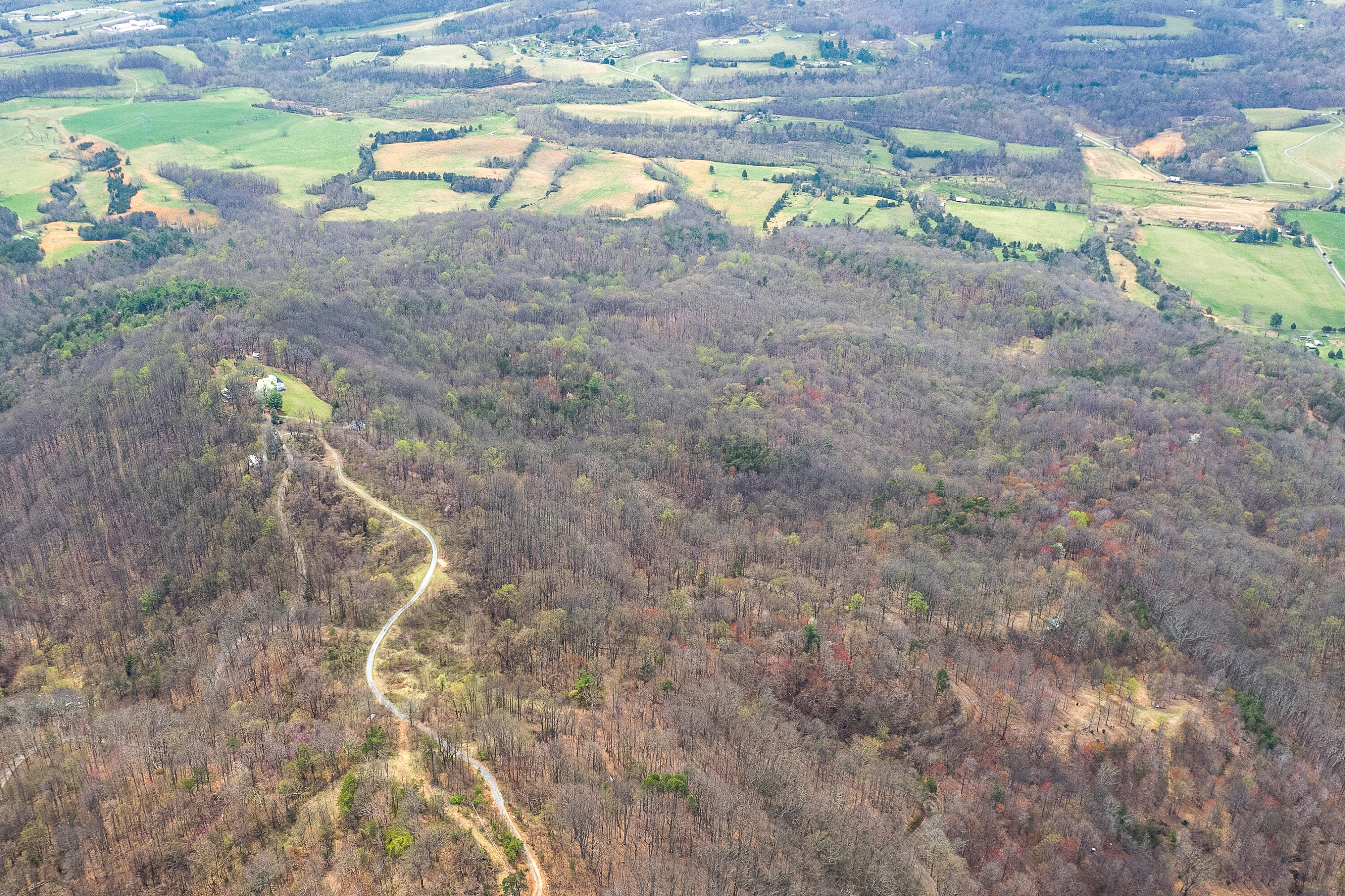 Lot 2 Murray Hollow Rd, Thaxton, Virginia image 15