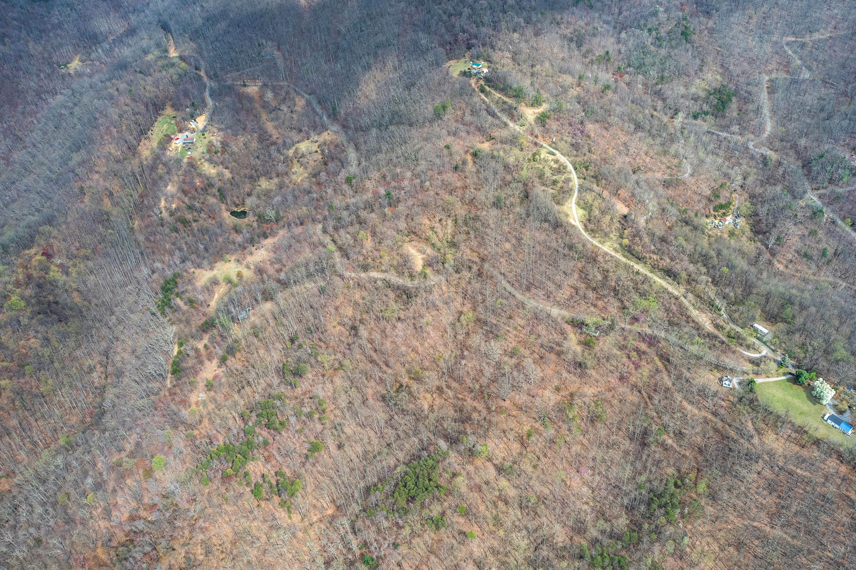 Lot 2 Murray Hollow Rd, Thaxton, Virginia image 12