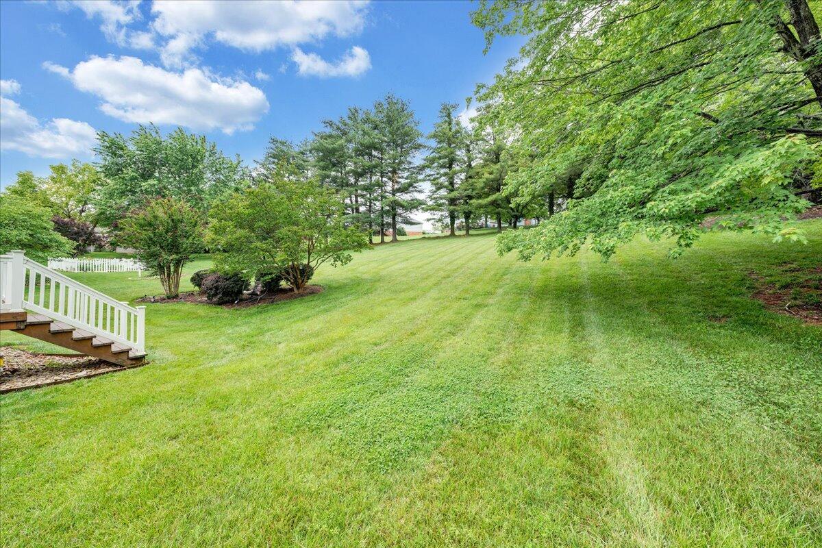 4051 Snowgoose Cir, Roanoke, Virginia image 47
