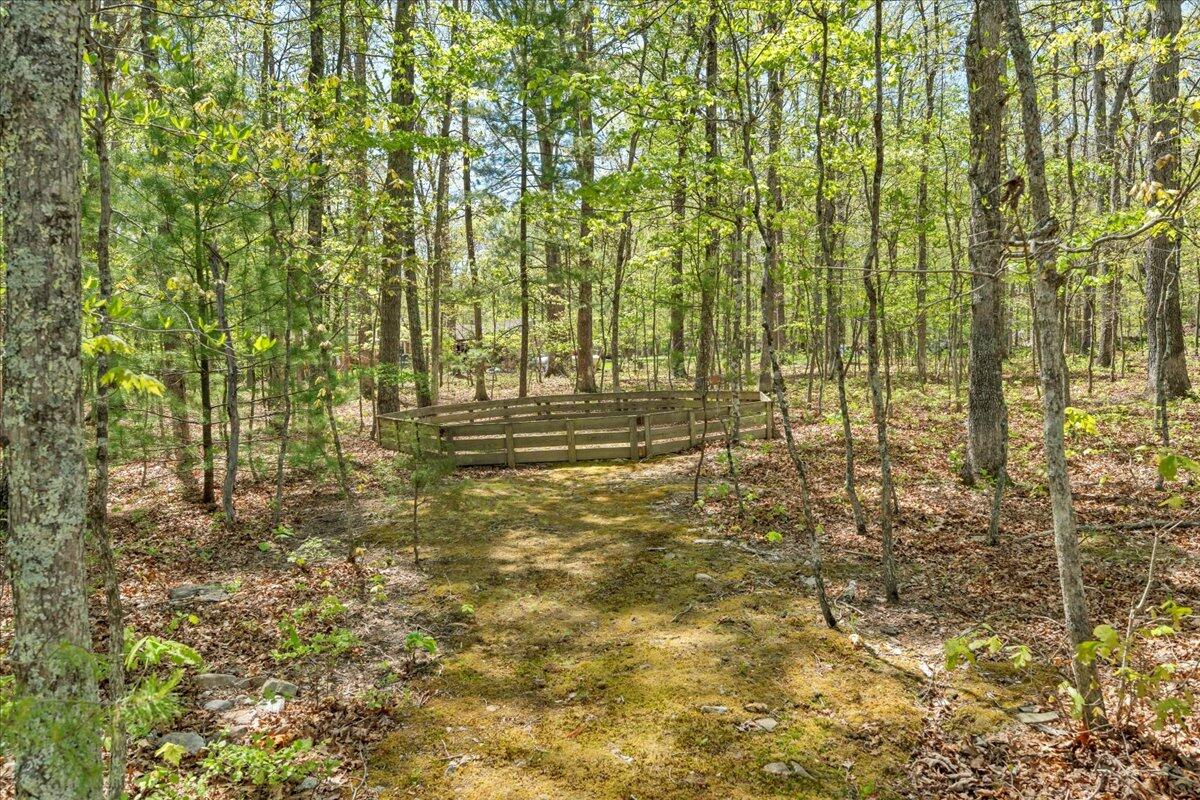 3160 Brian Rd, Salem, Virginia image 50
