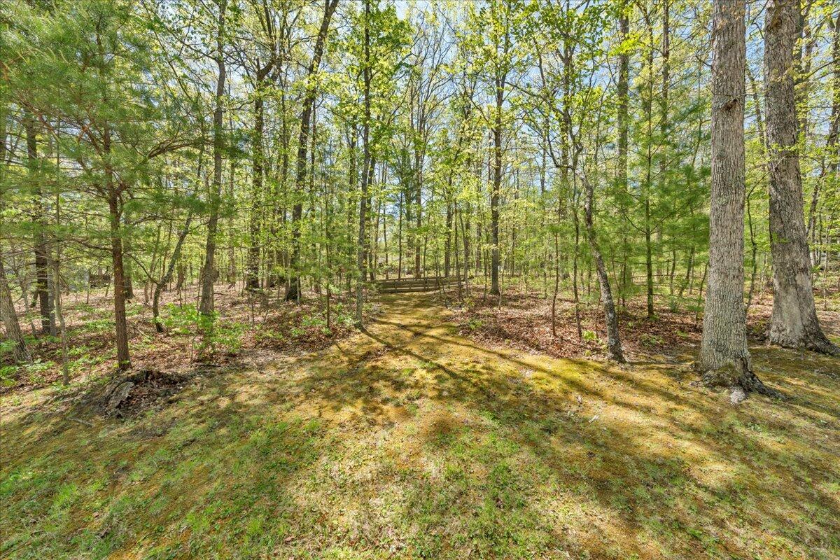 3160 Brian Rd, Salem, Virginia image 49