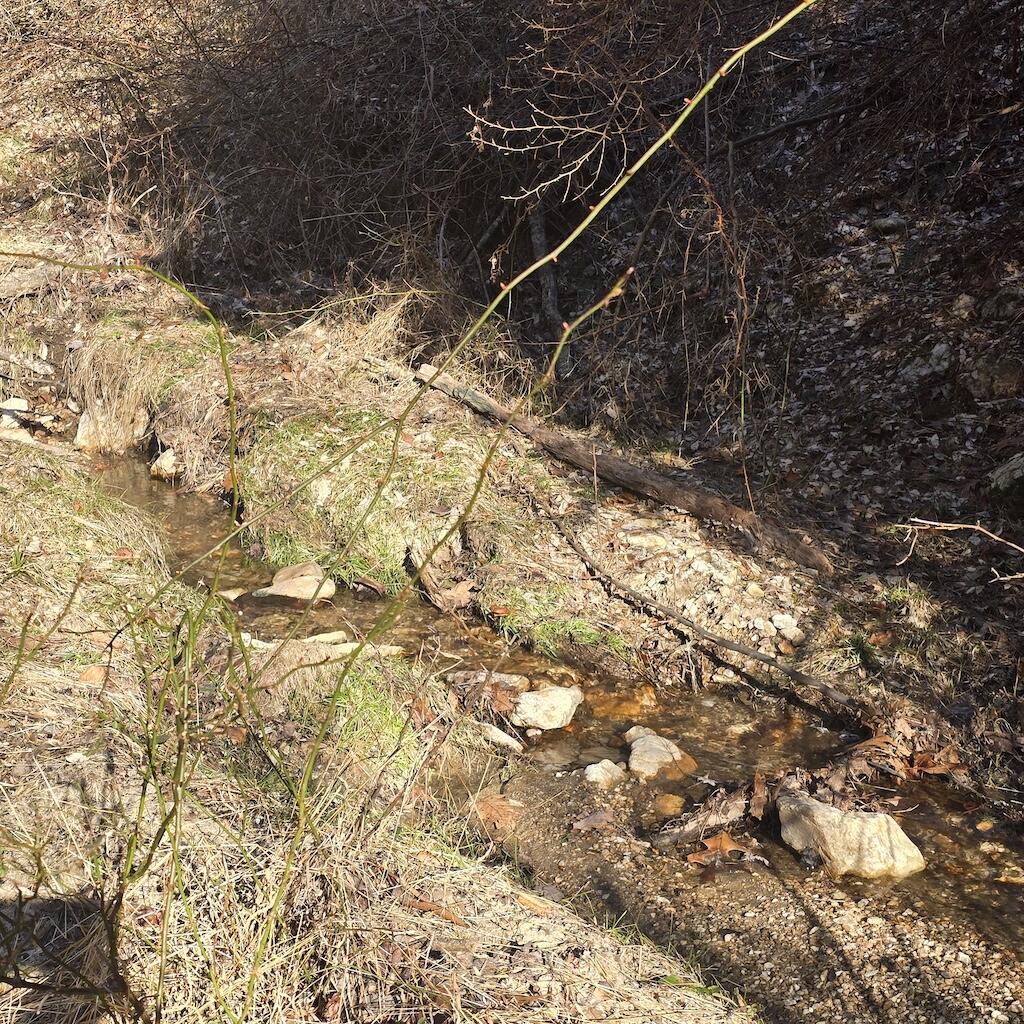 2333 Webbs Mill Rd, Floyd, Virginia image 38