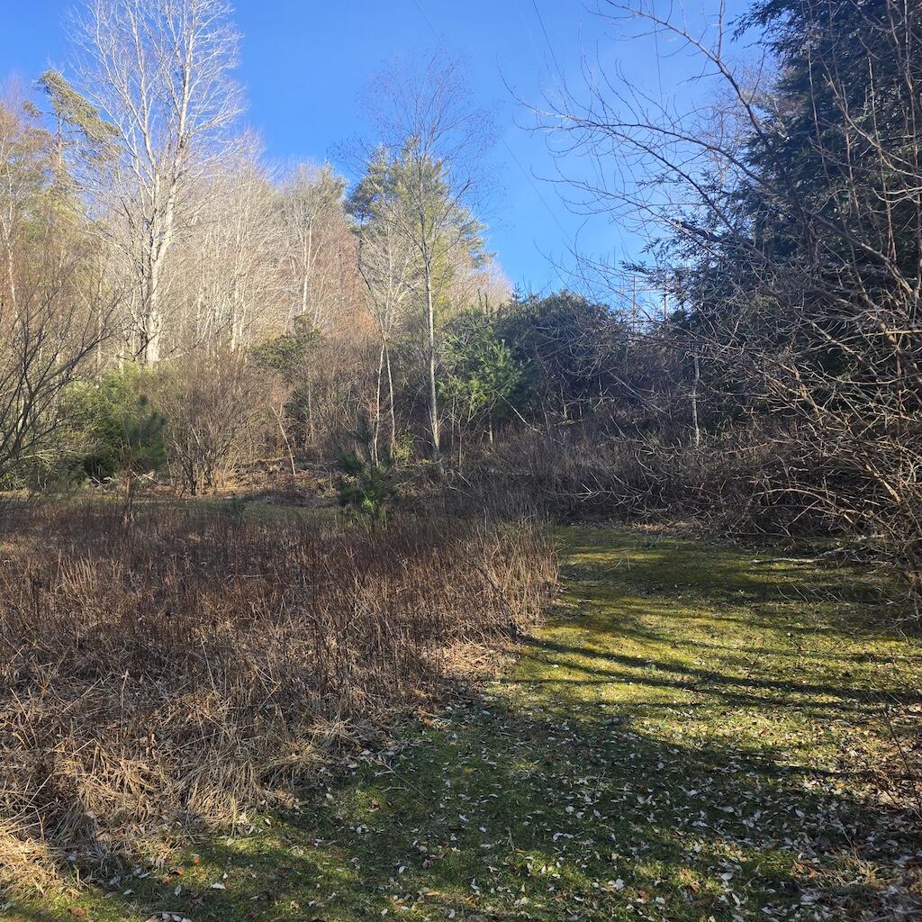 2333 Webbs Mill Rd, Floyd, Virginia image 36