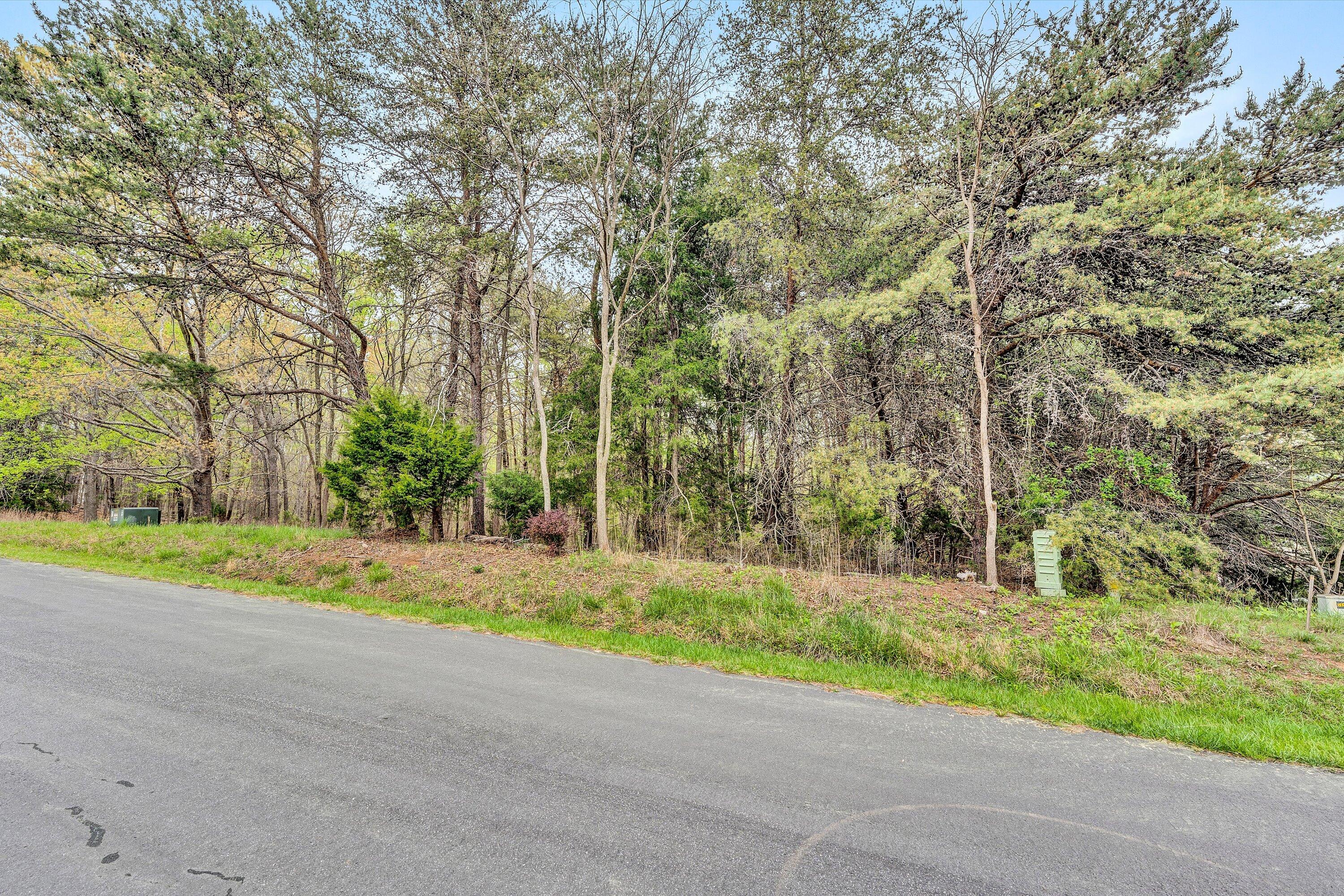 Lot 385 Mountain Shore Dr, Penhook, Virginia image 7