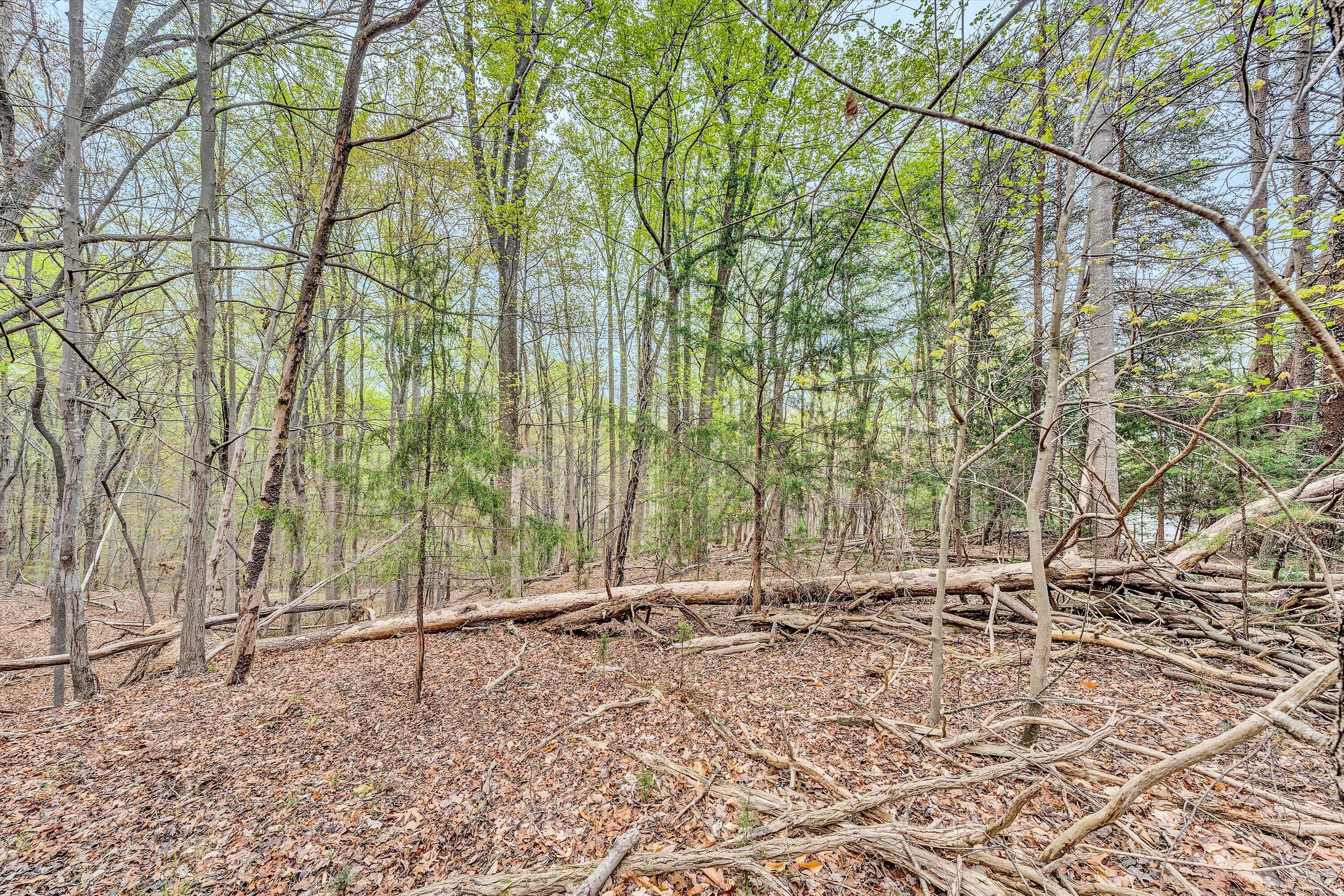 Lot 385 Mountain Shore Dr, Penhook, Virginia image 10