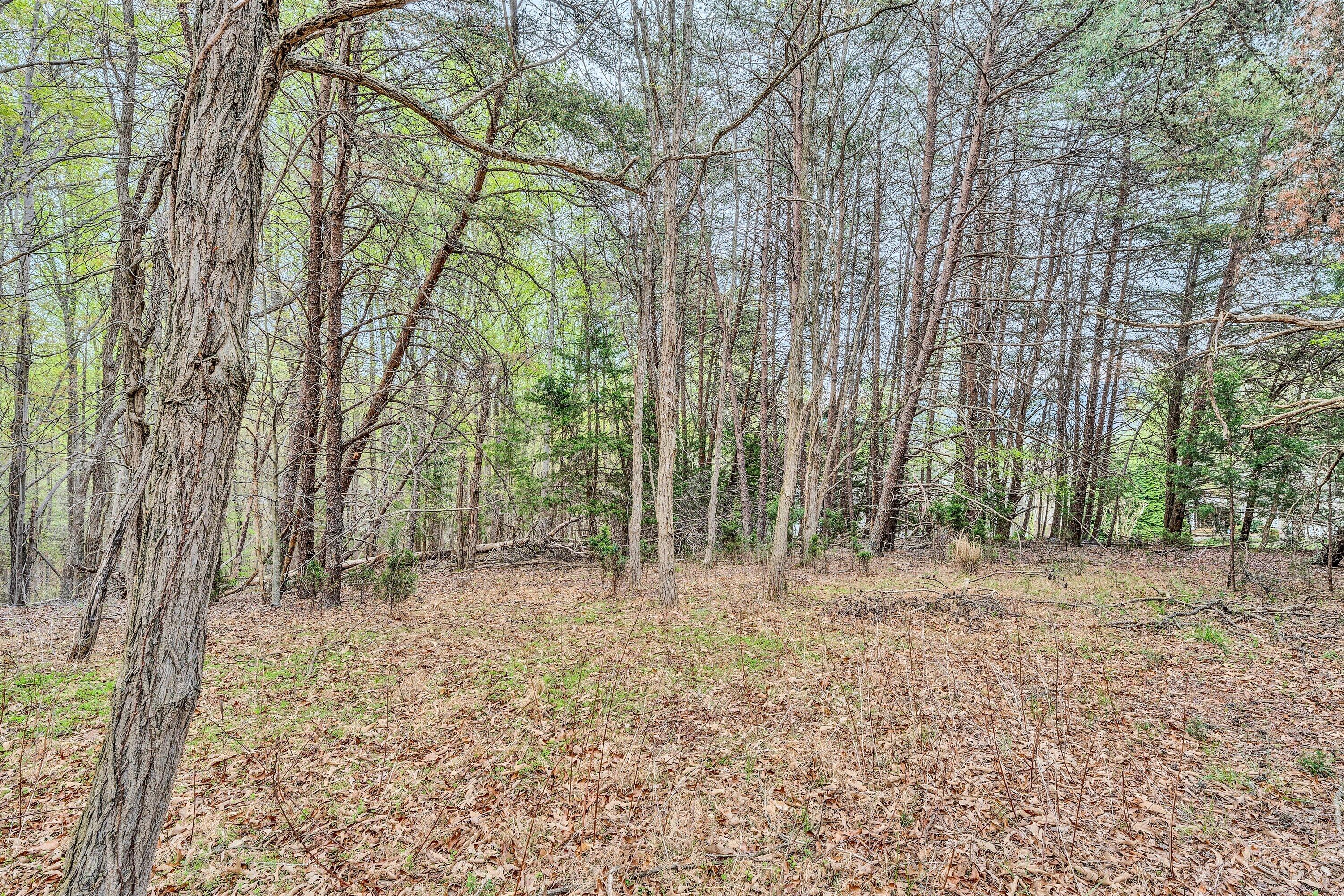 Lot 385 Mountain Shore Dr, Penhook, Virginia image 8