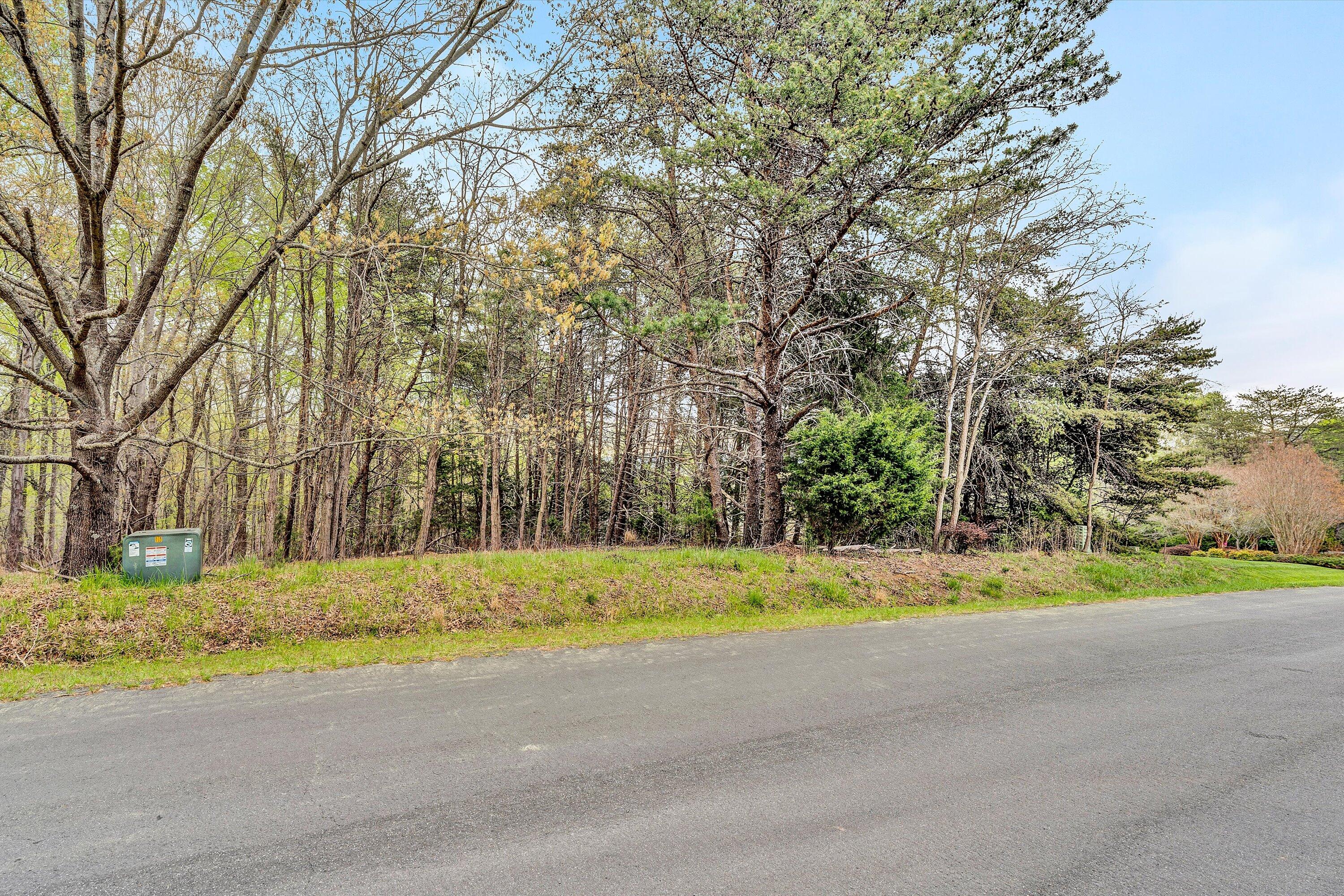 Lot 385 Mountain Shore Dr, Penhook, Virginia image 5