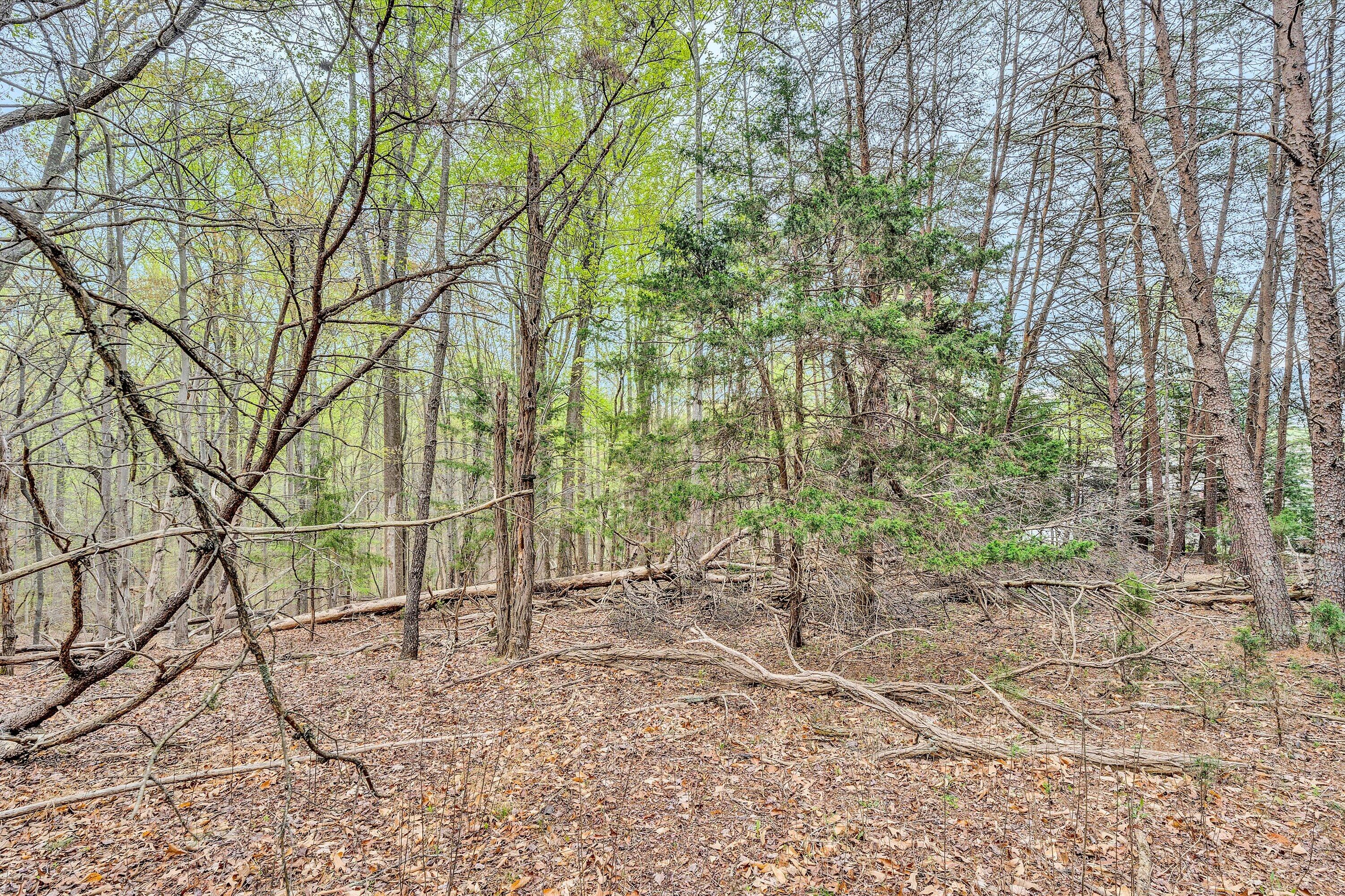 Lot 385 Mountain Shore Dr, Penhook, Virginia image 9