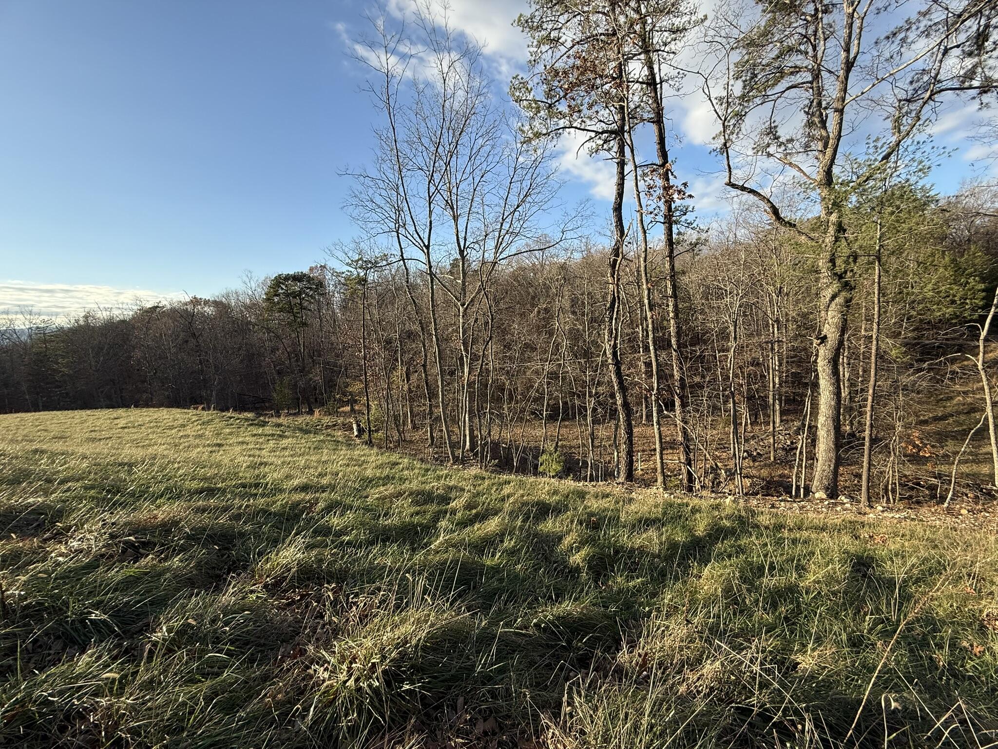 5625 Hunt Camp Rd, Roanoke, Virginia image 7
