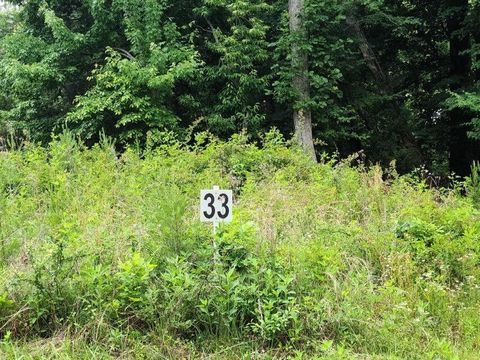 Vacant Land For Sale - LOT 33 Dillards Hill Rd<br/> Union Hall, VA 24176
